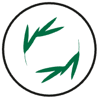 Armani Sustainable Icon