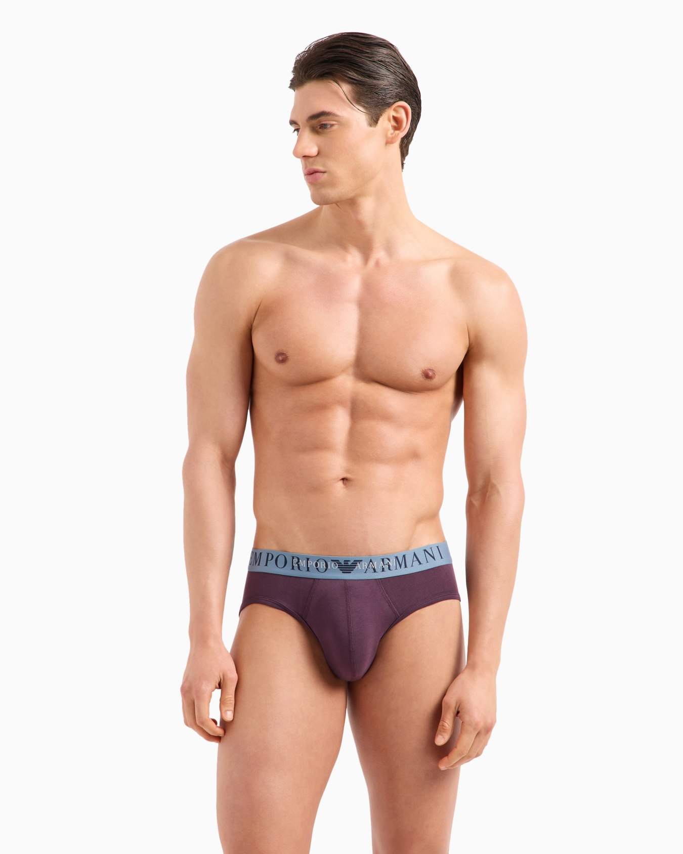 ASV The New Icon organic-cotton briefs Slide 1