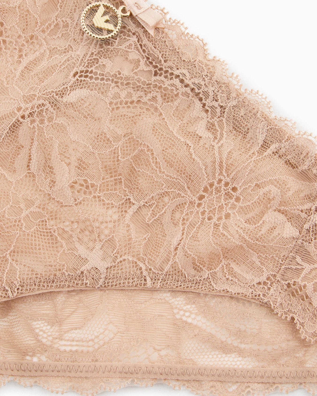 ASV Eternal Lace briefs in recycled lace Slide 3