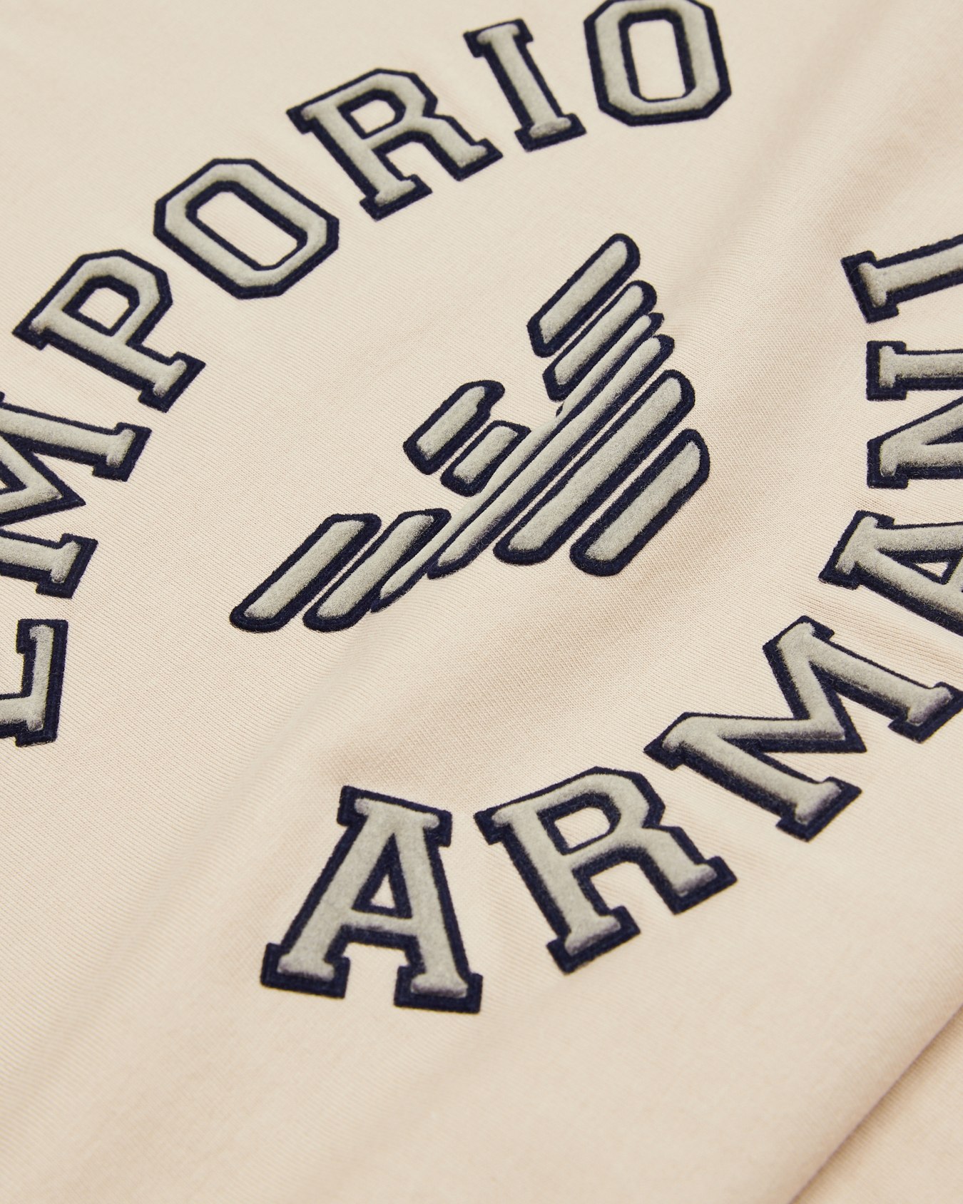 T-shirt comfort fit in jersey con ricamo maxi logo ASV Slide 1