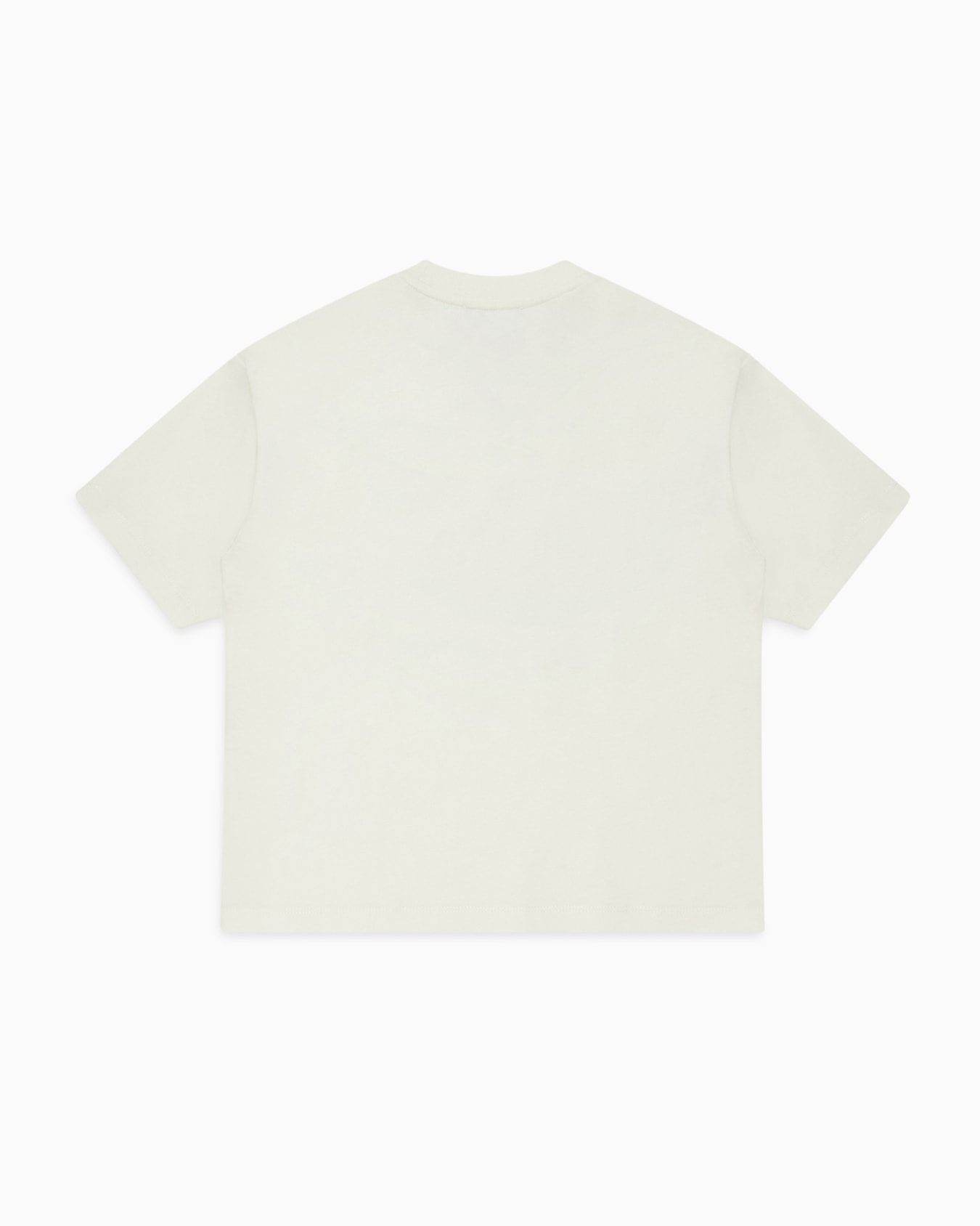 T-shirt over fit in jersey con stampa maxi aquila pixel ASV Slide 2