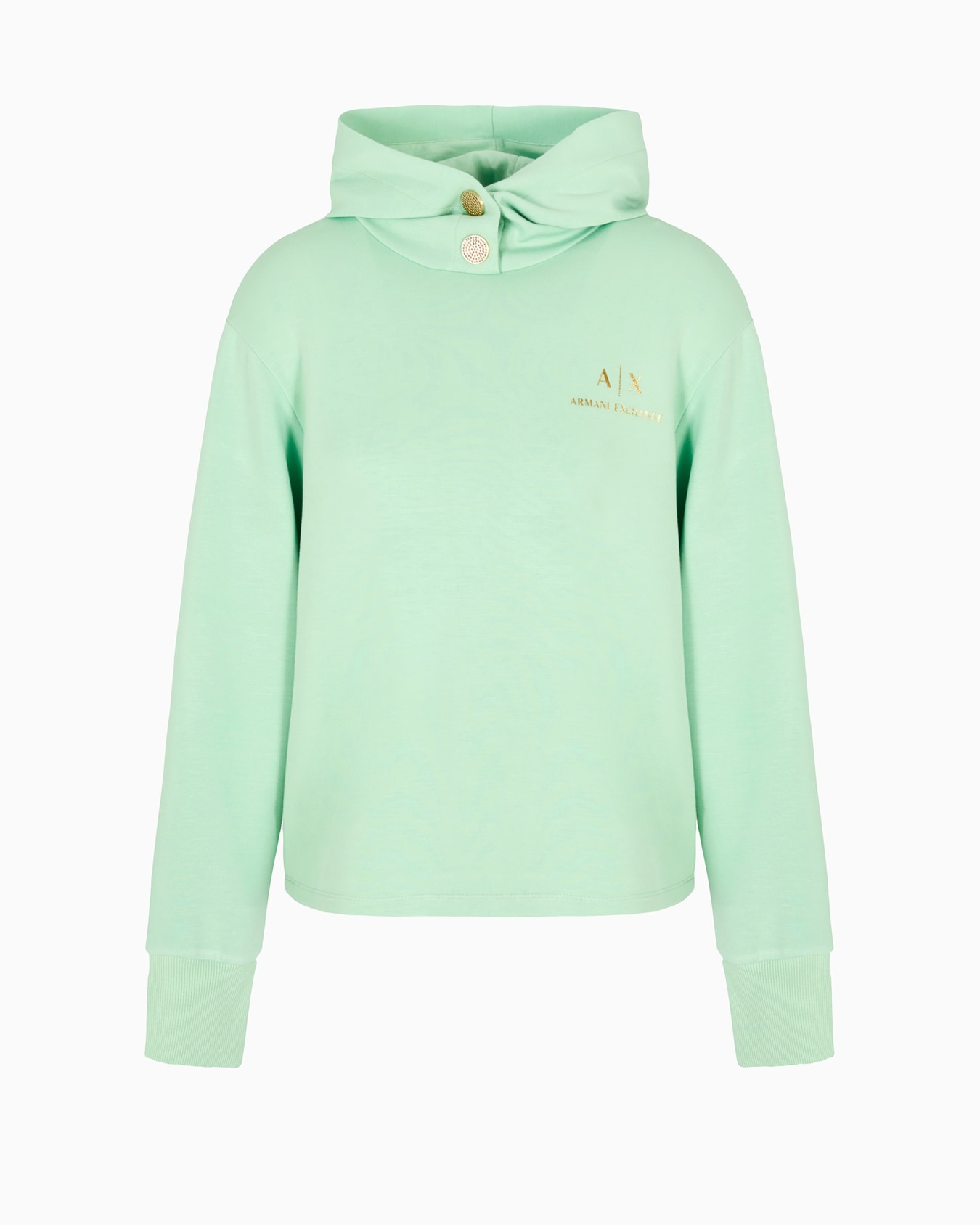 Sudadera con capucha y logotipo Diapositiva 0