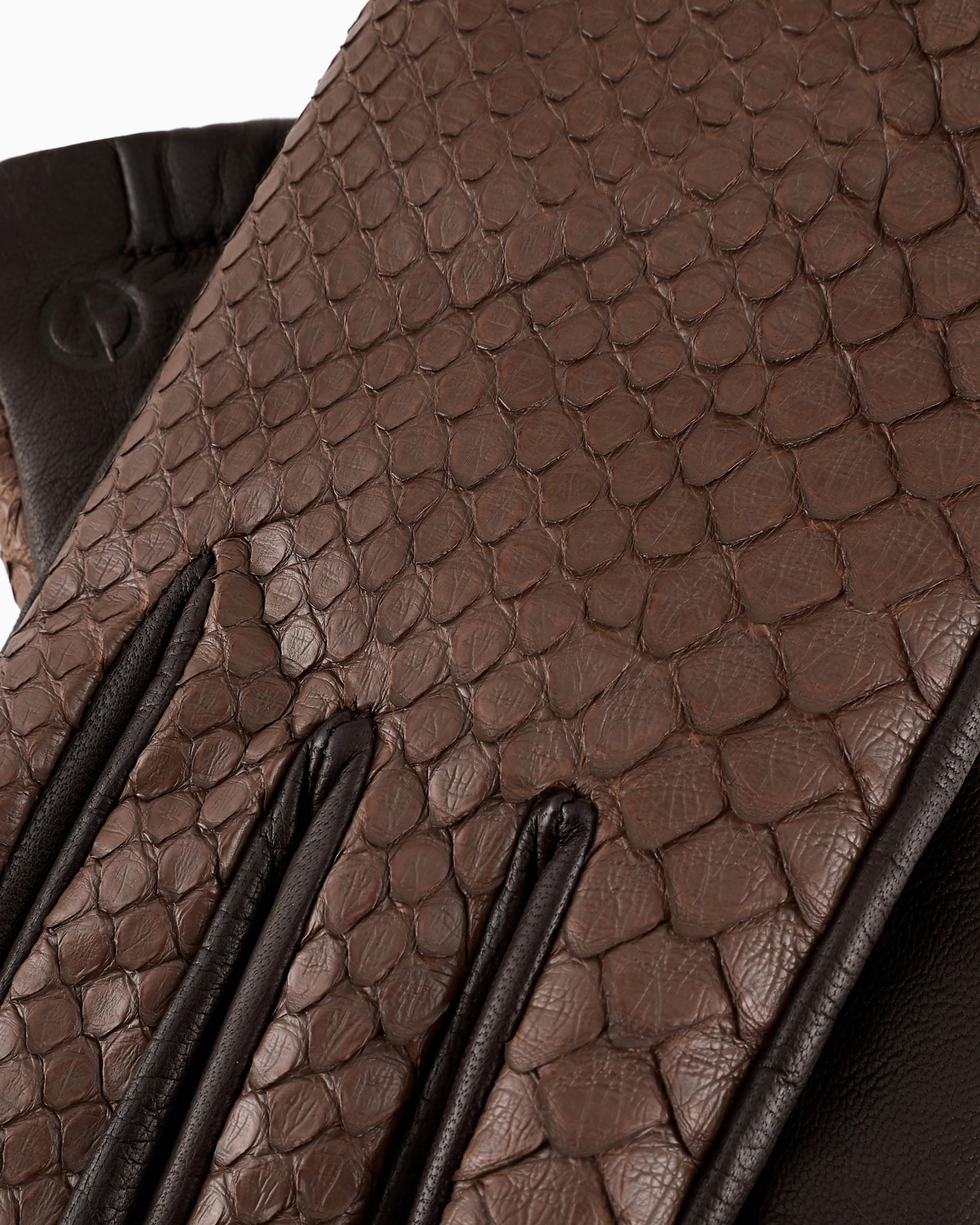 Python and nappa-leather gloves Slide 1