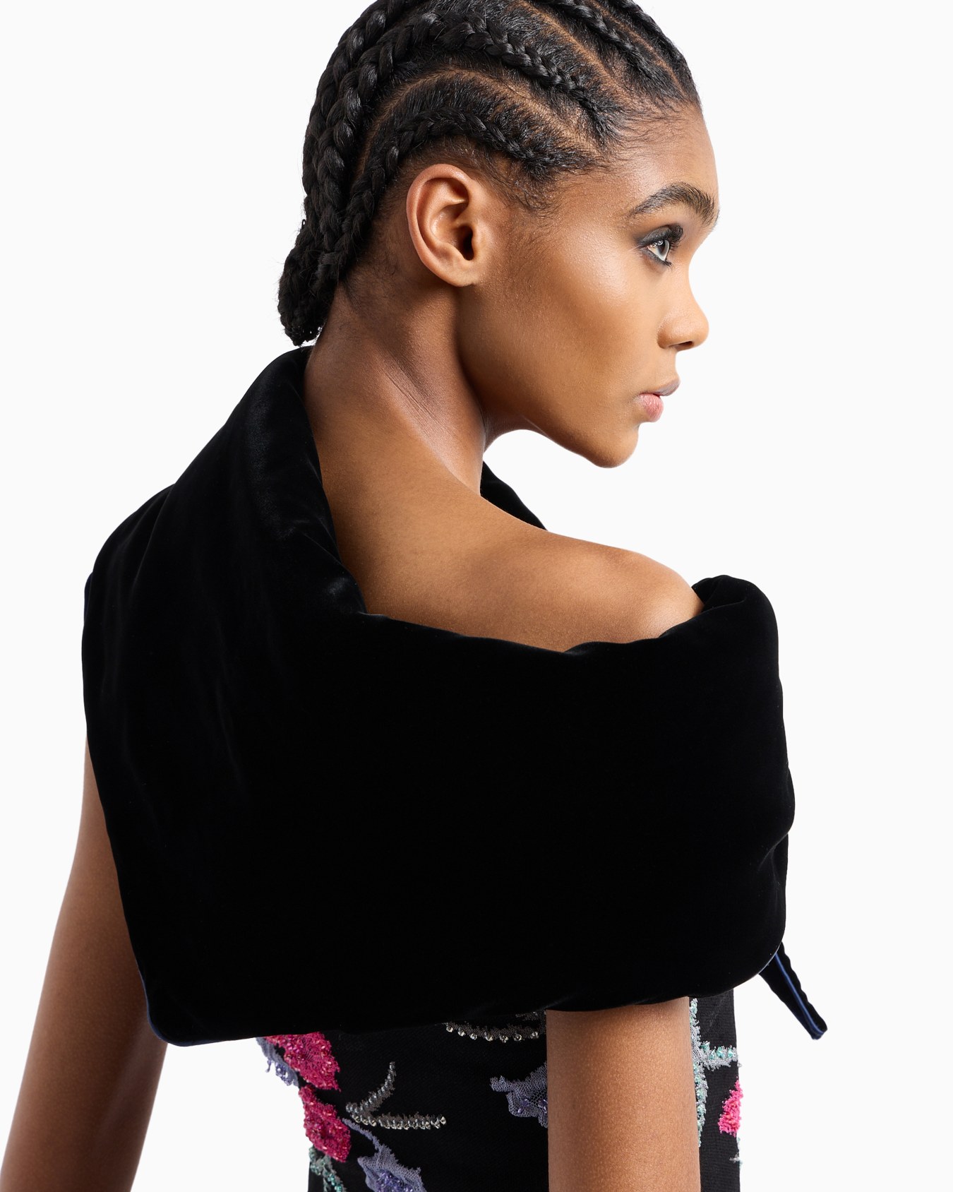 Velvet collar Slide 2