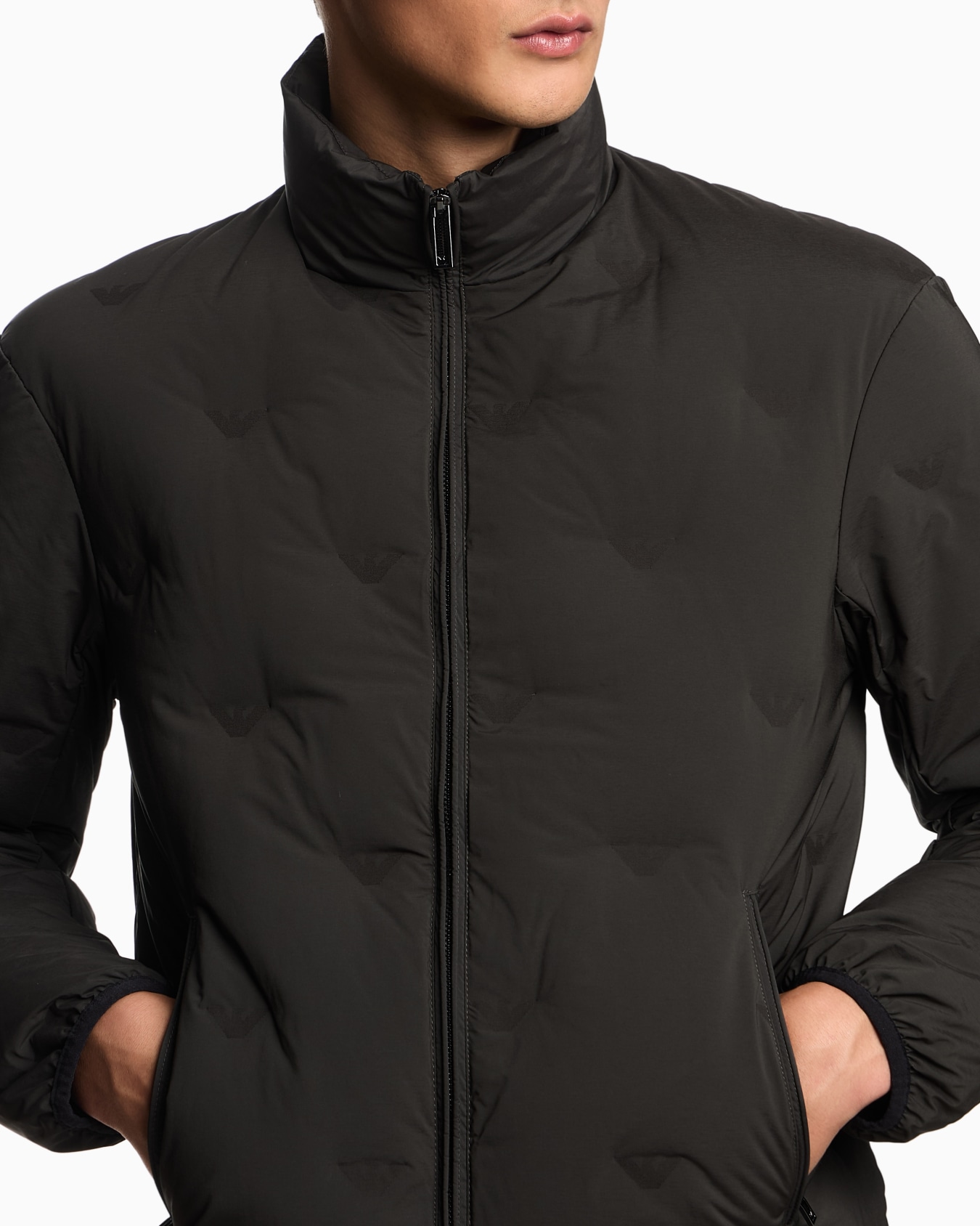 Chaqueta de plumas de nailon con cremallera completa y motivo integral de microáguilas en intarsia Diapositiva 4