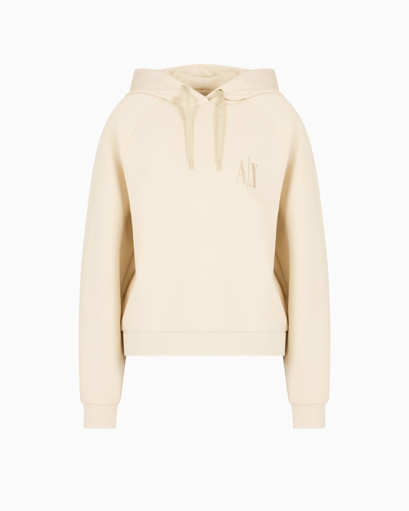 Glitter Logo Hoodie Diapositiva 0
