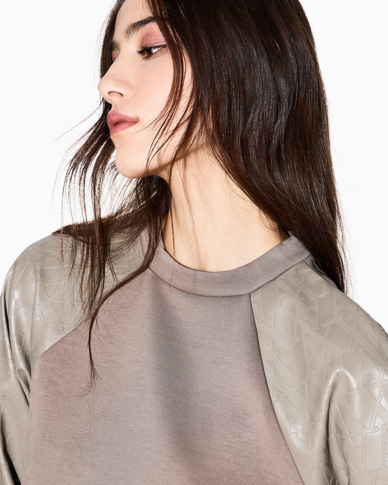 Sweatshirts without Hood Slide 4