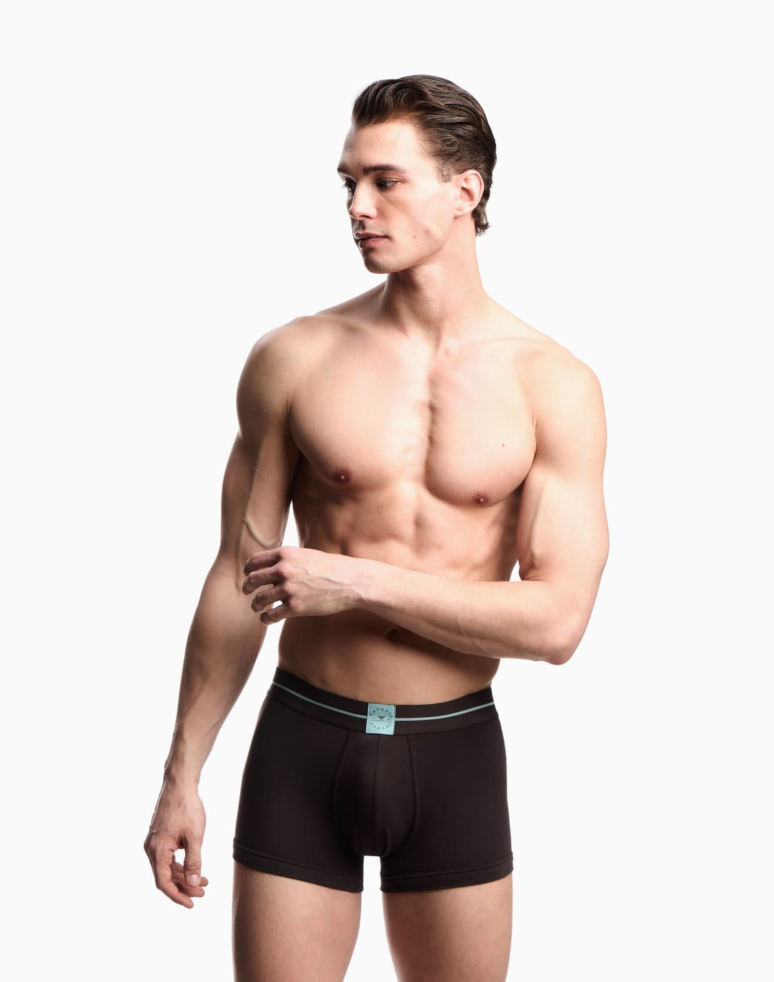 asv-로고-라벨-오가닉-저지-복서-브리프-2팩-브라운--emporio-armani