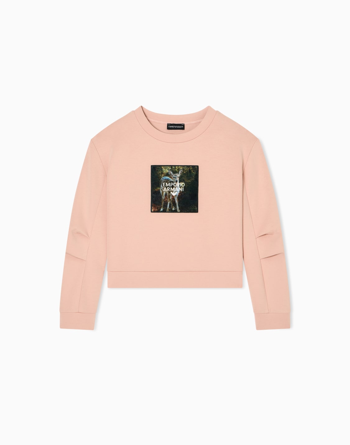 felpa-in-double-jersey-stampa-winter-clouds-rosa--emporio-armani