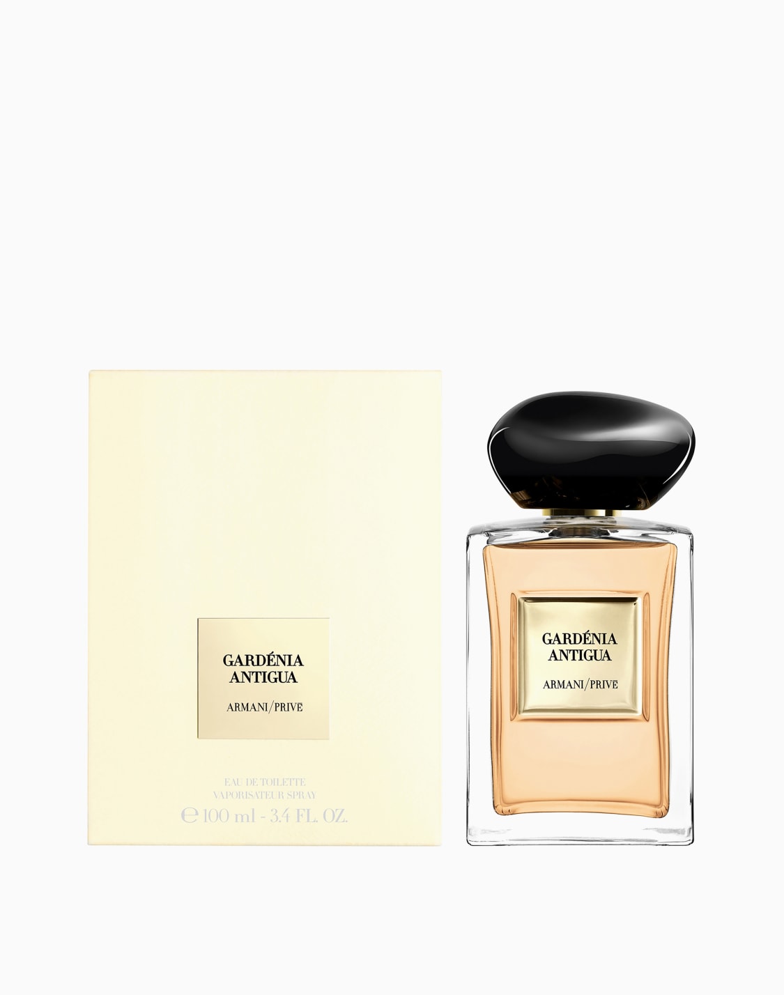 アルマニ-プリェガデニア-アンディグア-クリア--giorgio-armani