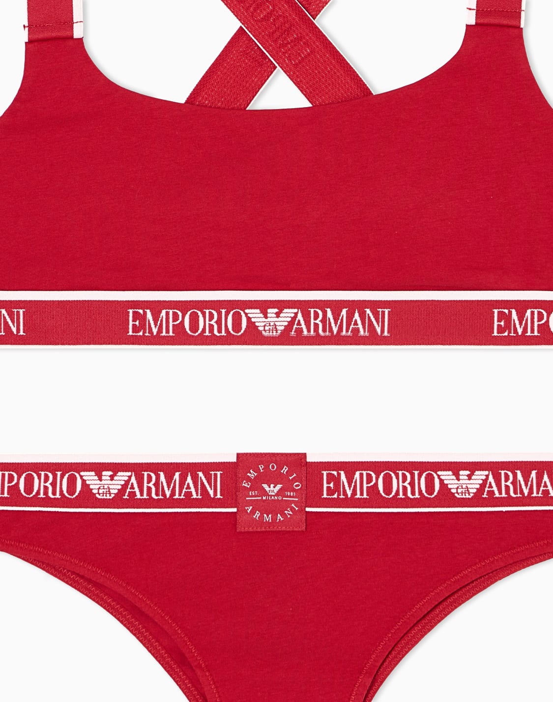 asv-iconic-organic-cotton-bralette-and-brazilian-briefs-set-with-logo-band-red--emporio-armani