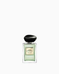 LC814001_NLP_50ML_F_FW2025.jpg