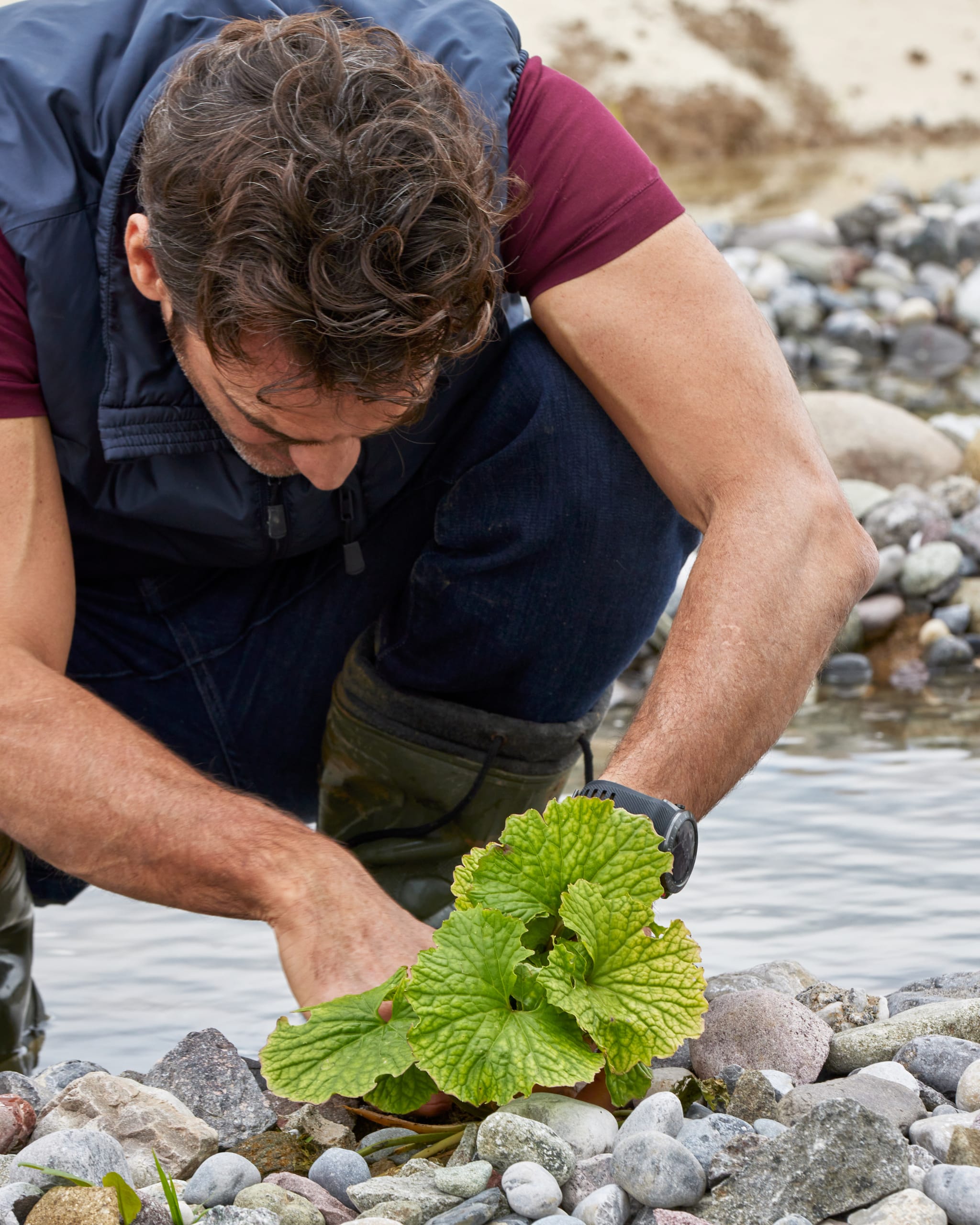 Mimì's Vegetable Garden Nobu Milano Armani