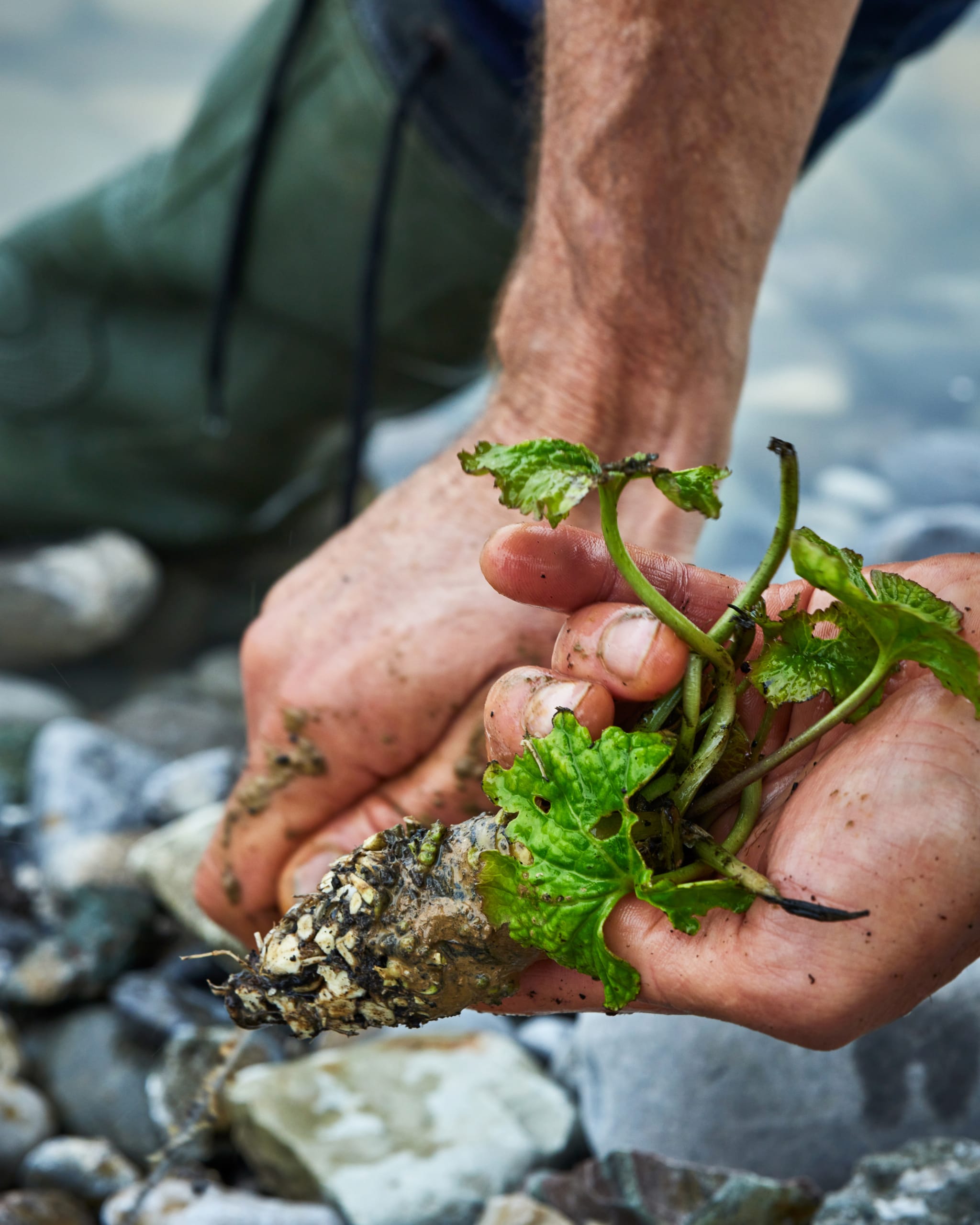 Mimì's Vegetable Garden Nobu Milano Armani