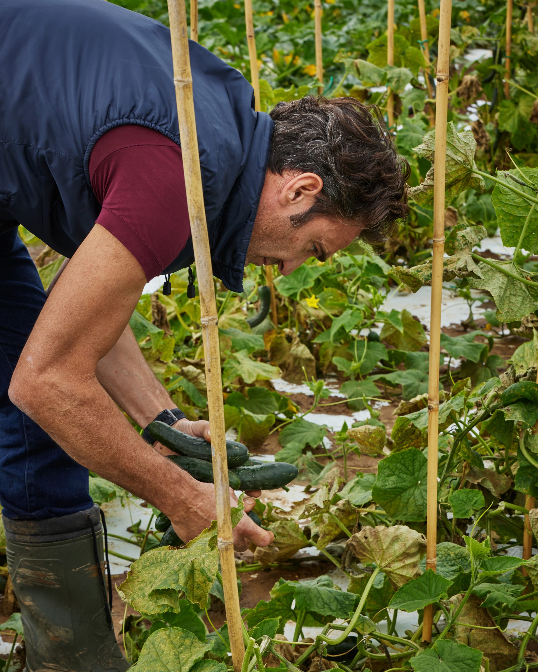 Mimì's Vegetable Garden Nobu Milano Armani