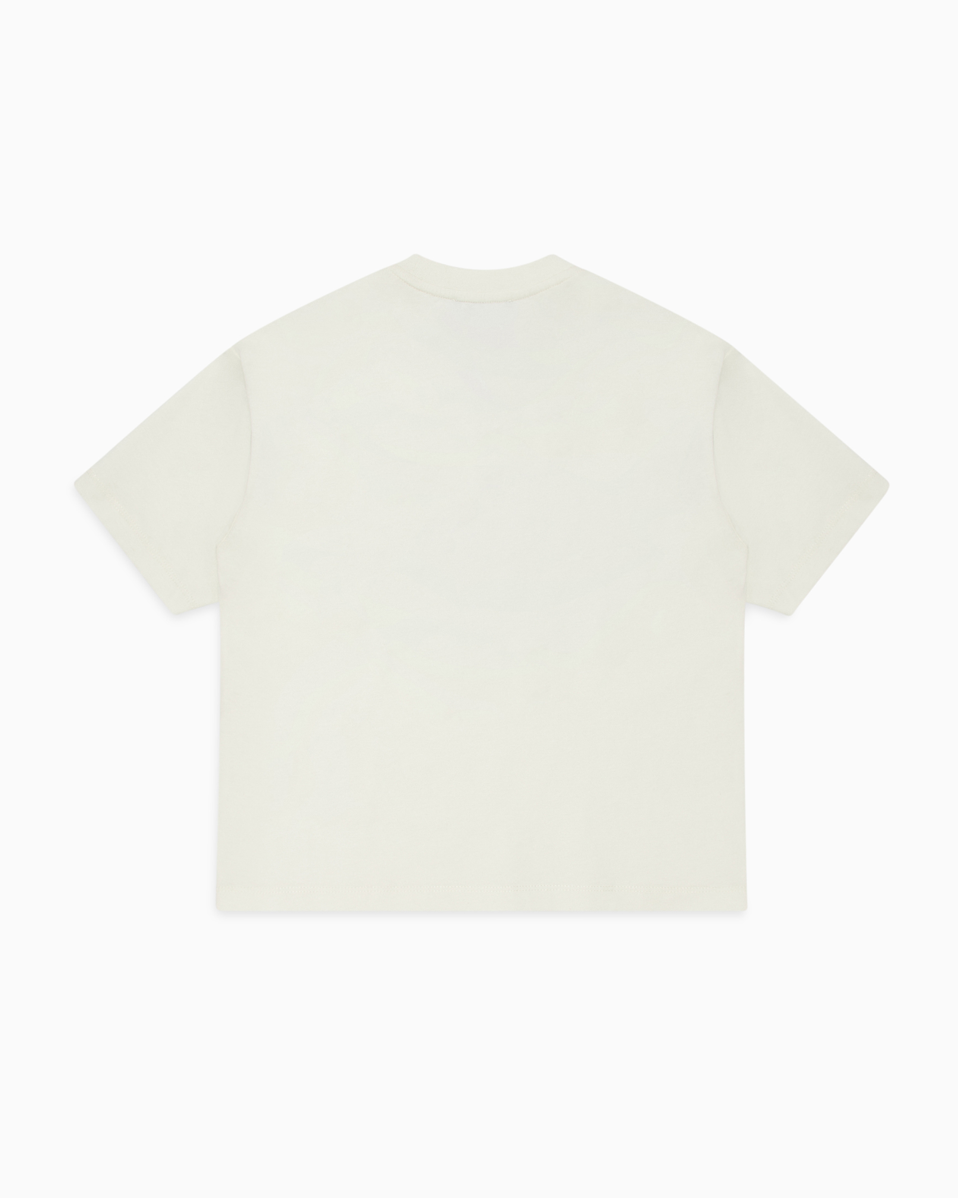 Shop Emporio Armani Asv Oversized Jersey T-shirt With Oversized Pixel Eagle Print In White