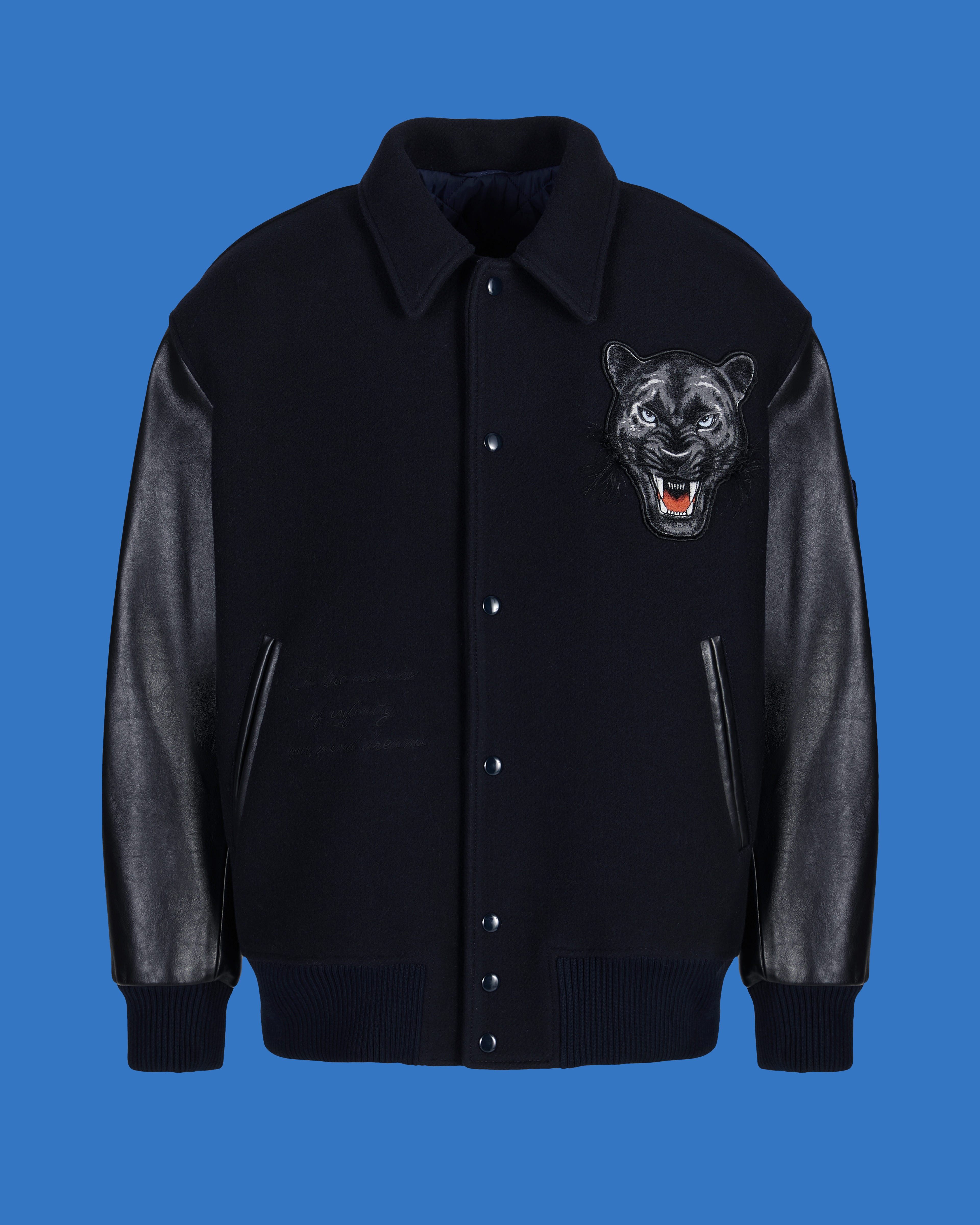 Emporio Armani - ASV Black Blue capsule collection wool cloth blouson with leather sleeves, Man, Navy Blue, Size: