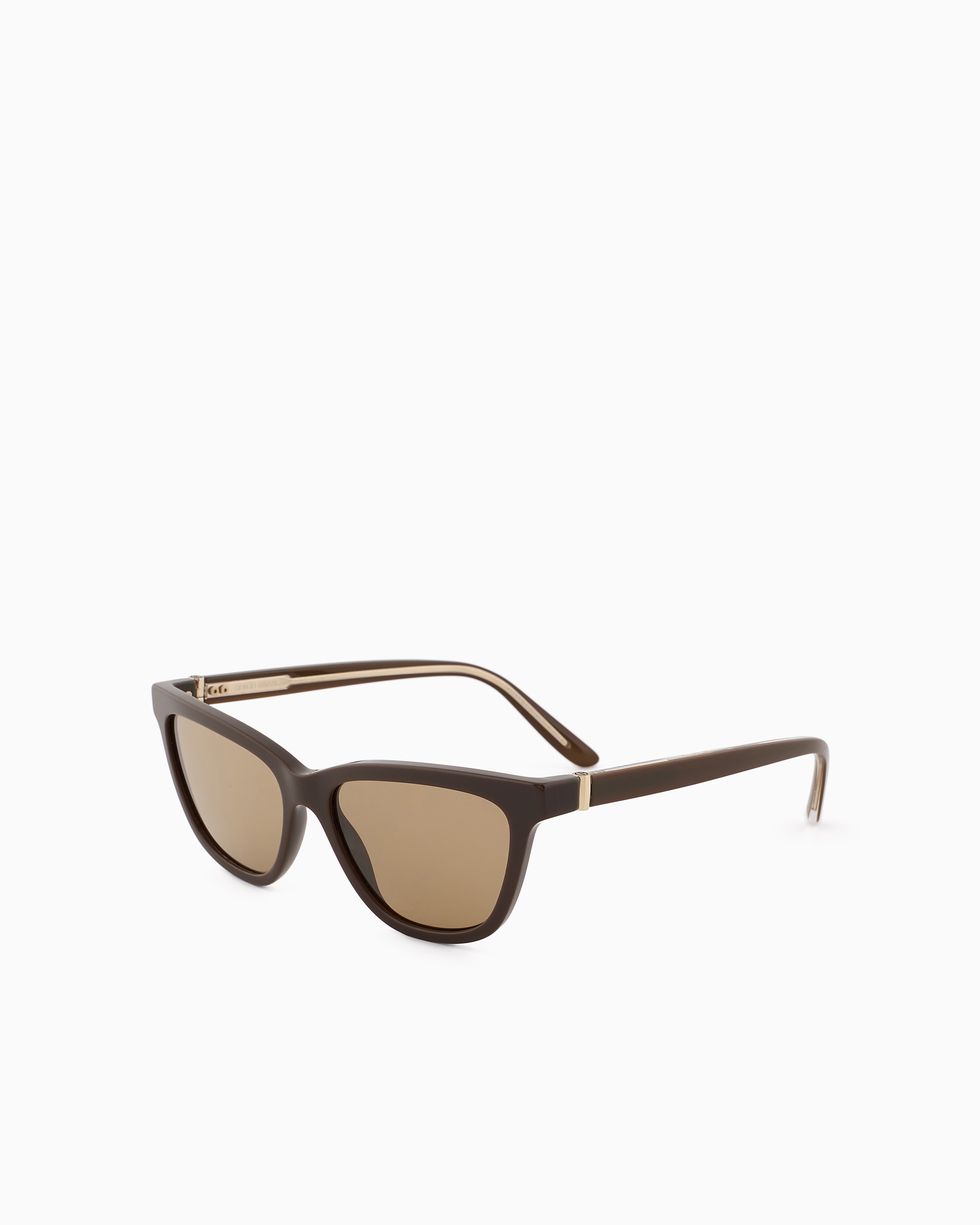 Shop Giorgio Armani Women's Cat-eye Sunglasses In Brown