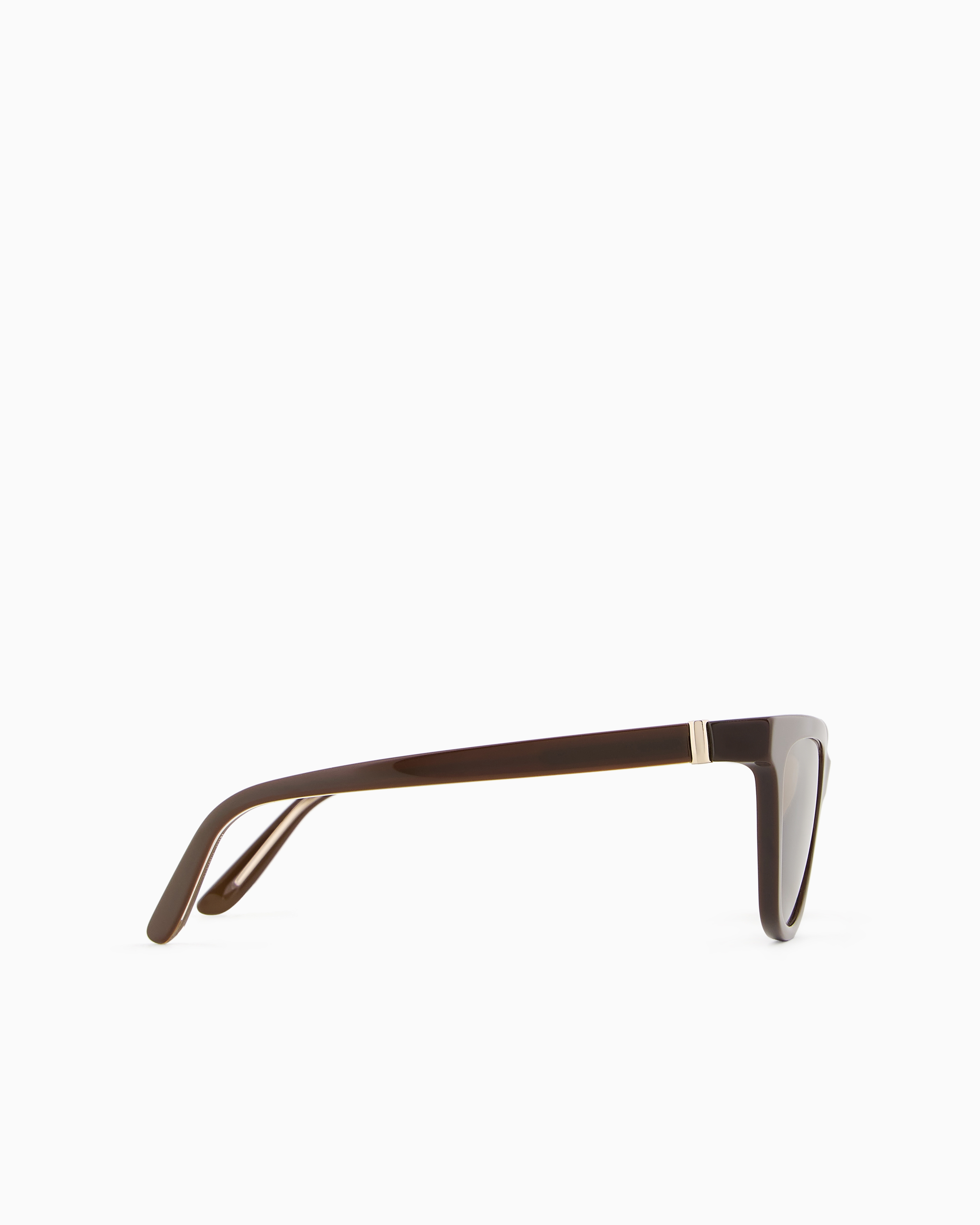 Shop Giorgio Armani Women's Cat-eye Sunglasses In Brown