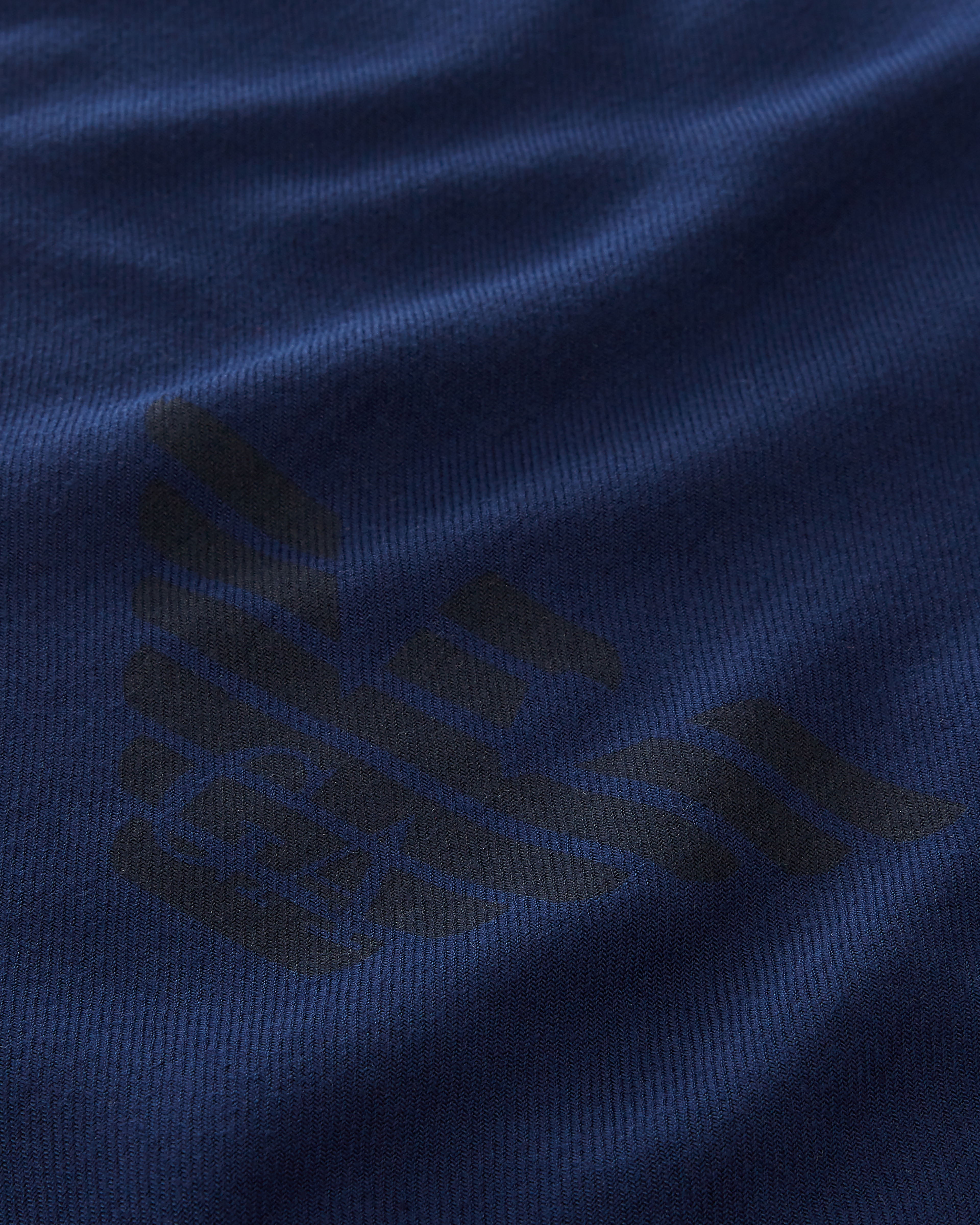 Emporio Armani Fringed Scarf With Eagle Print In Navy Blue