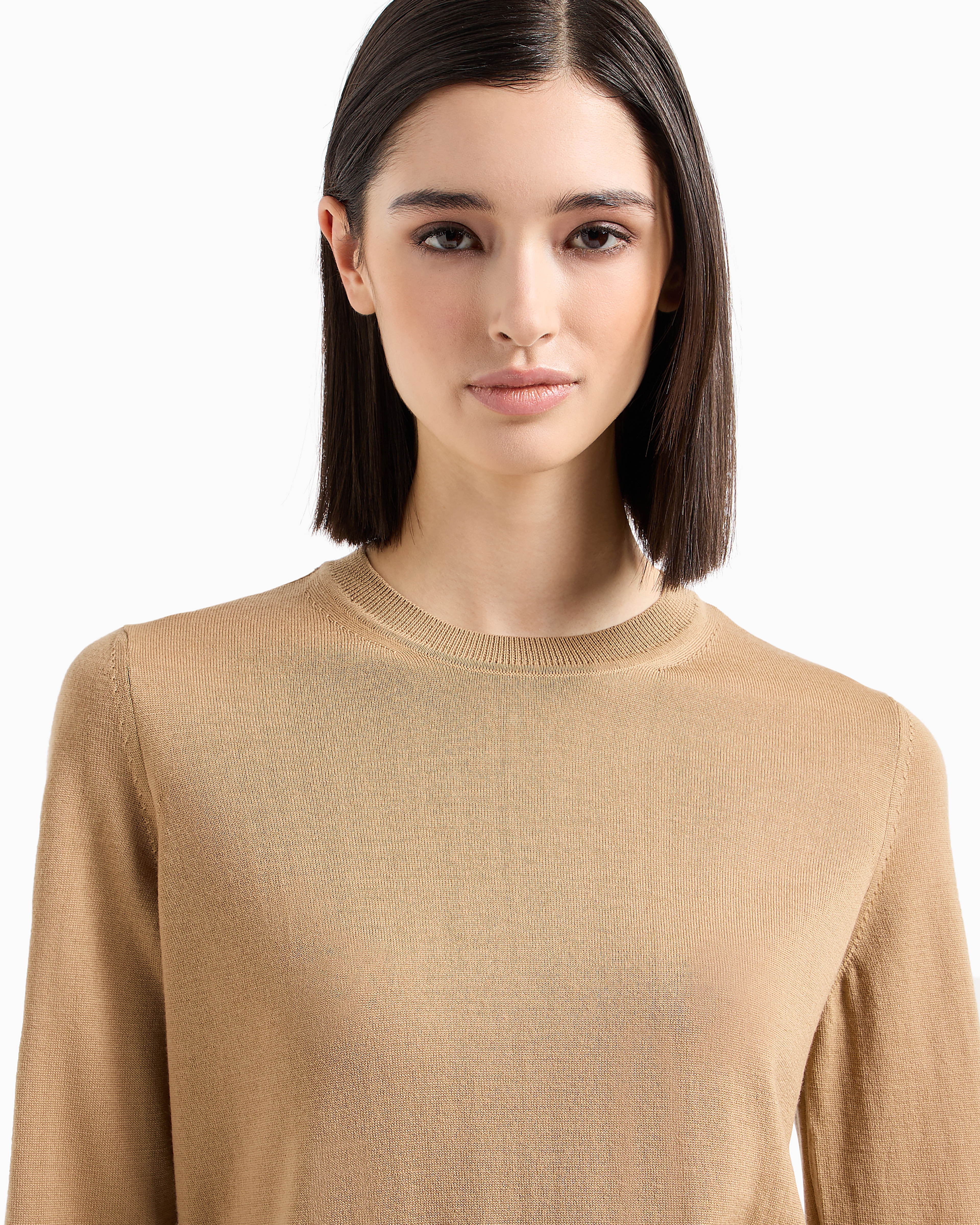 Emporio Armani Crew-neck Jumper In Pure Virgin Wool In Camel