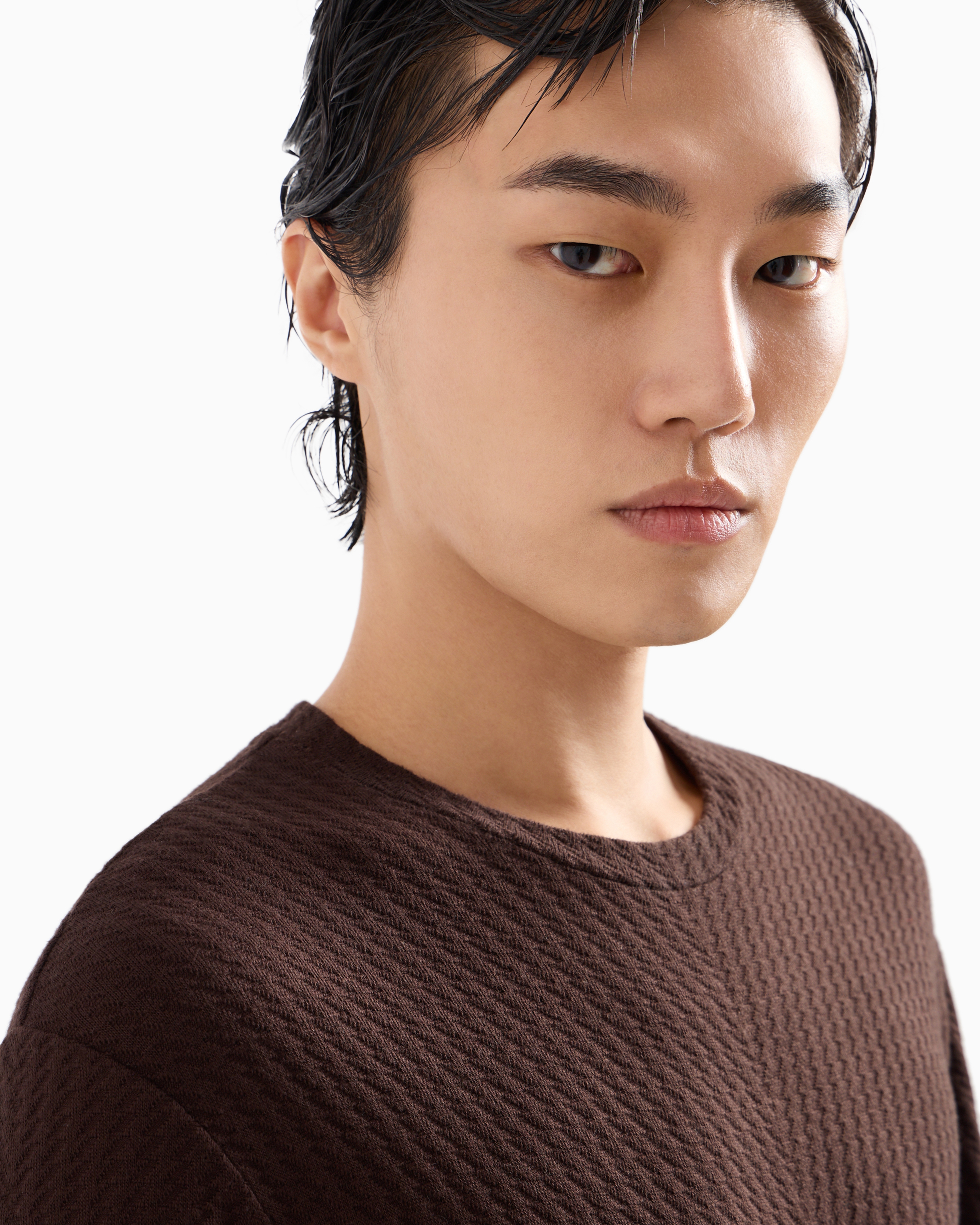 Giorgio Armani Official Store T-shirt Ras-du-cou En Jersey De Viscose Et Cachemire Jacquard In Marron