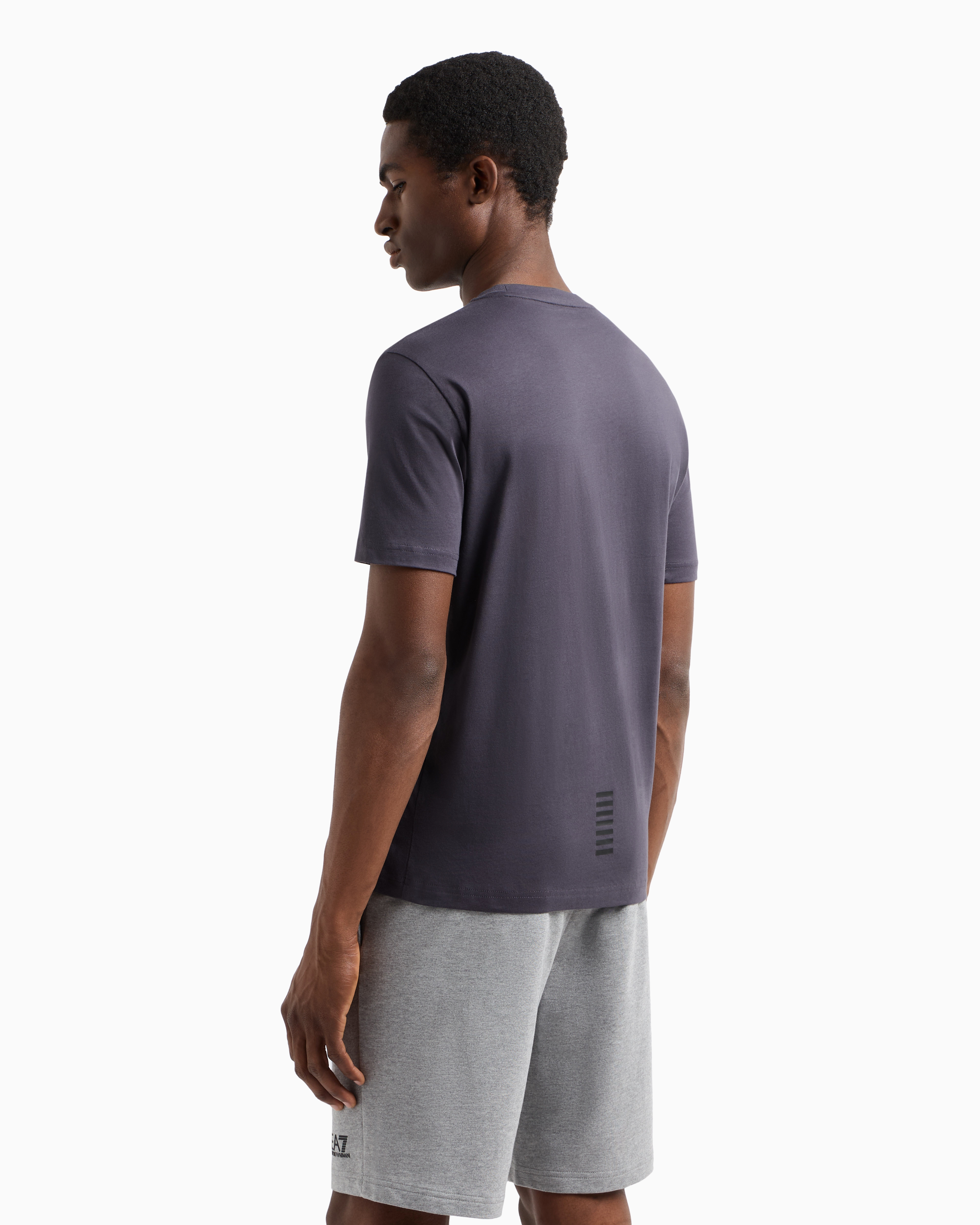 Ea7 Pima Cotton Core Identity T-shirt In Grey