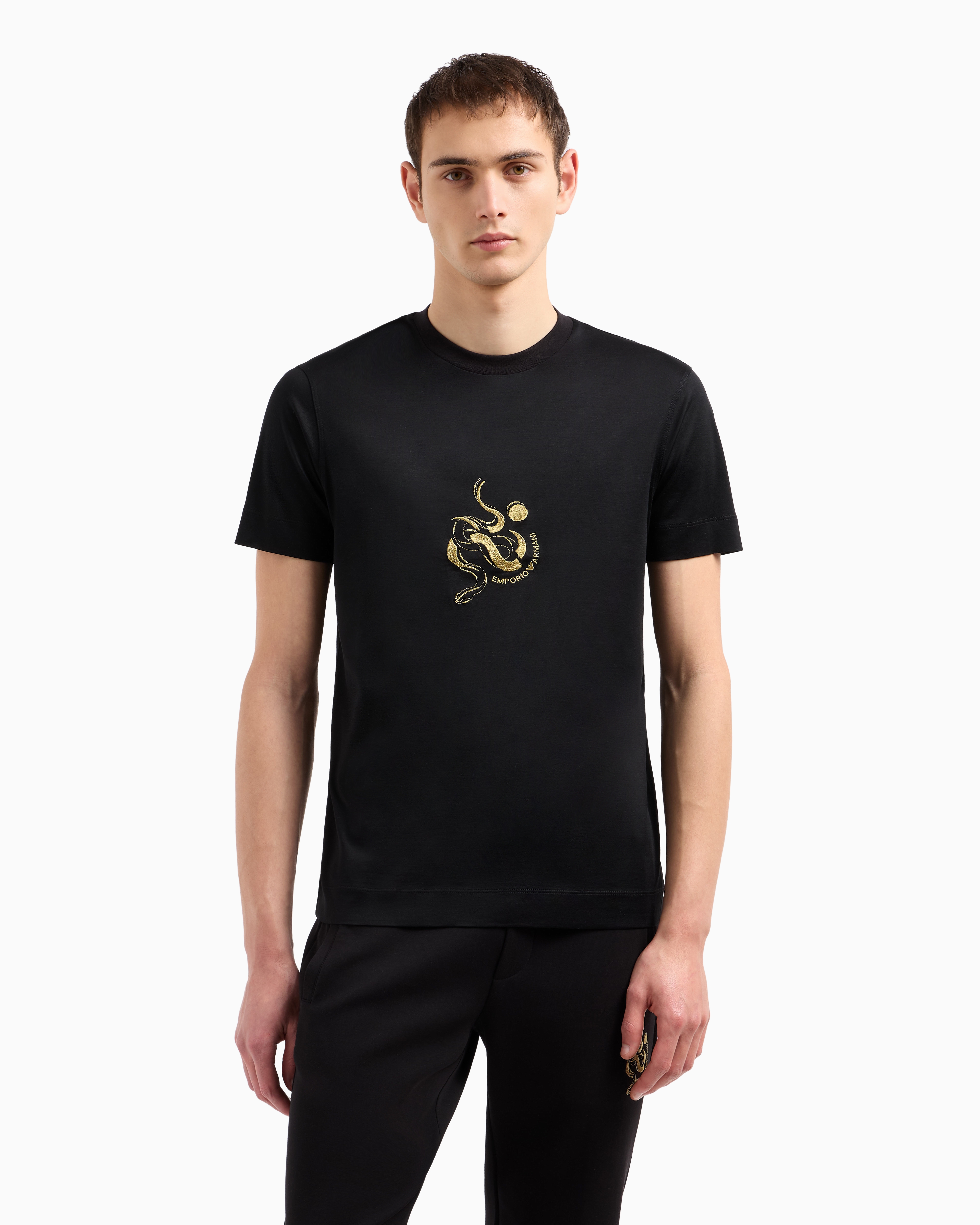 ASV Tシャツ リヨセル混紡ジャージー | Emporio Armani