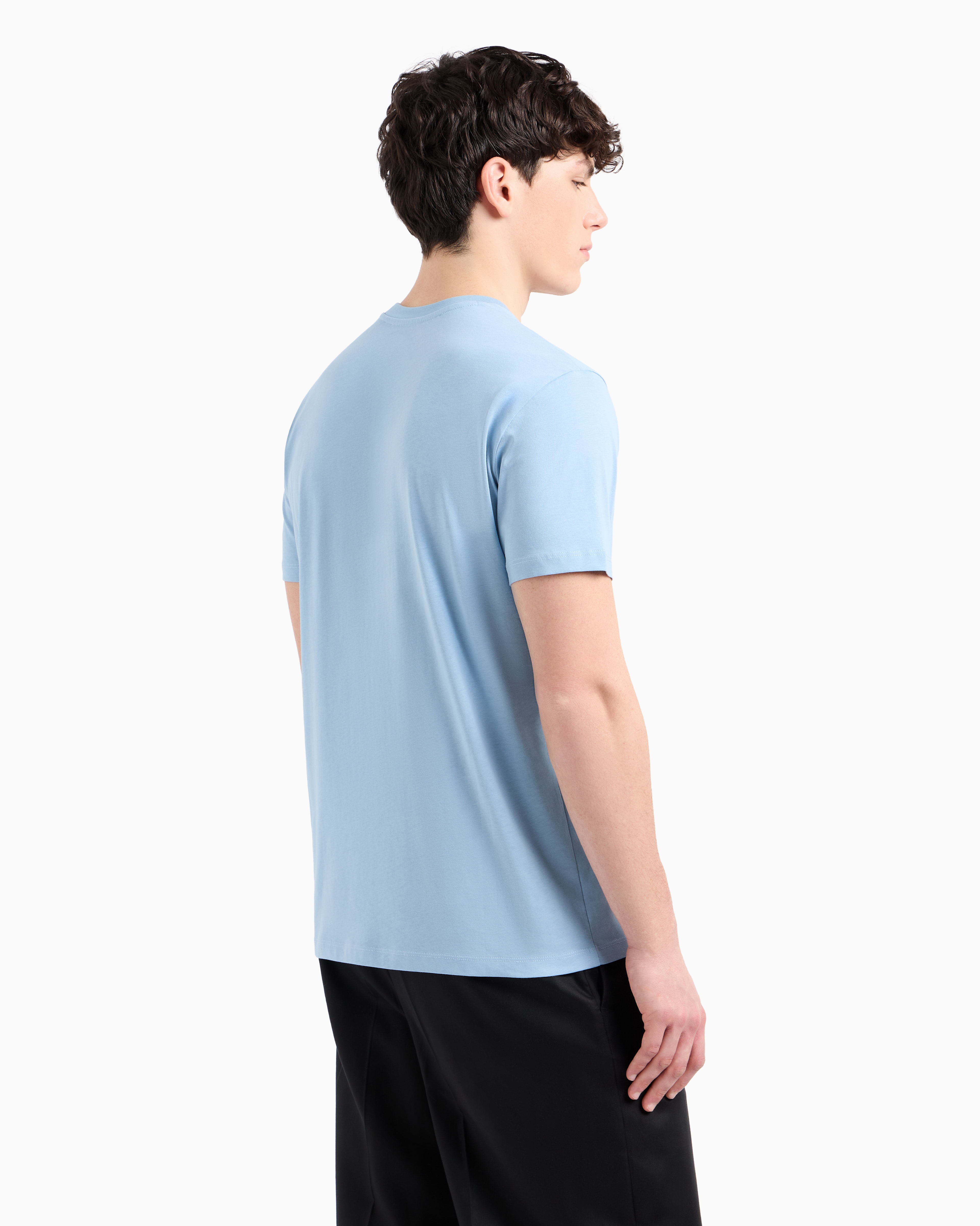 Armani Exchange - Regular fit ASV palm tree print t-shirt, Man, Light Blue, Size: