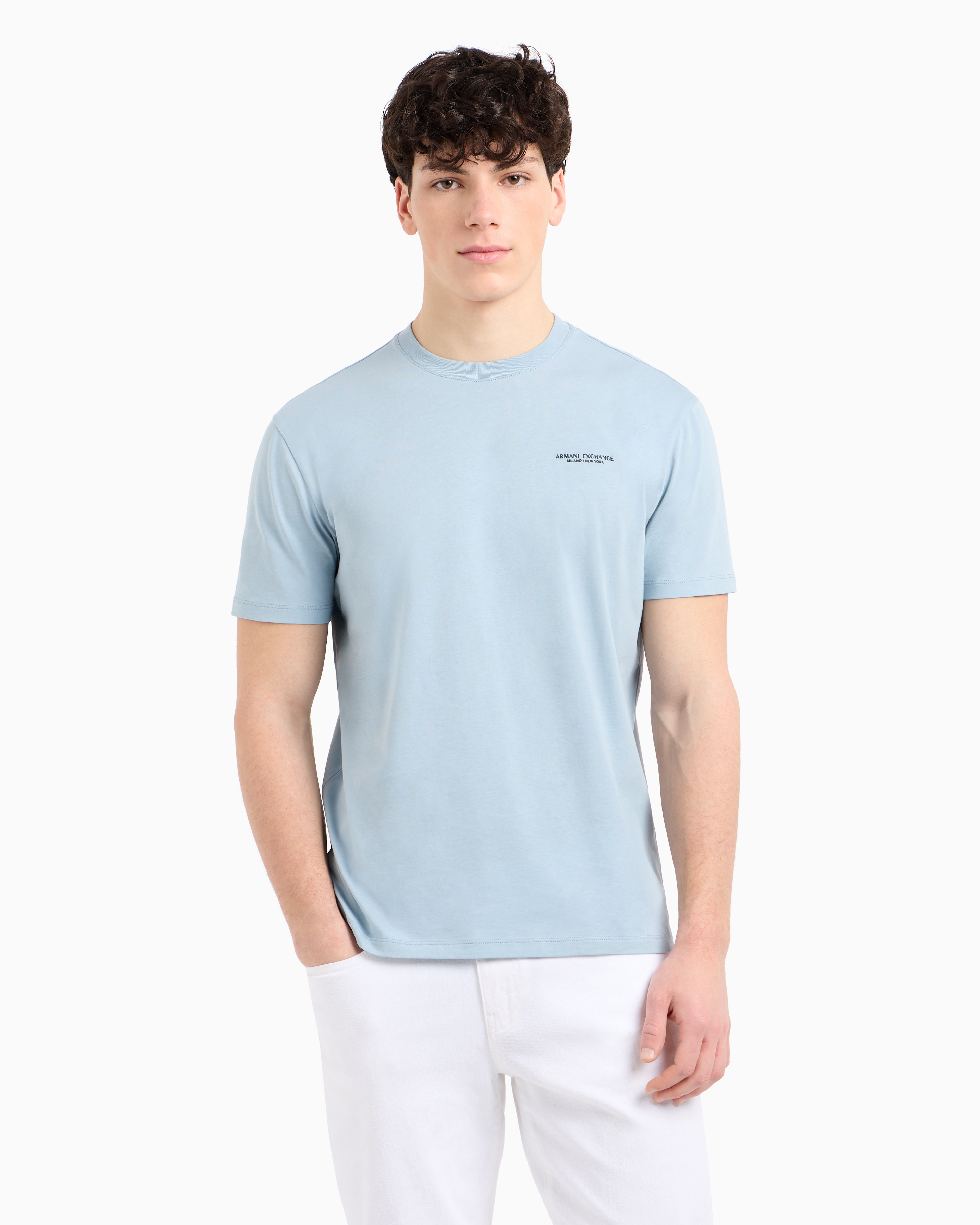 Armani Exchange - Regular fit T-shirt with logo , Man, Light Blue, Size: