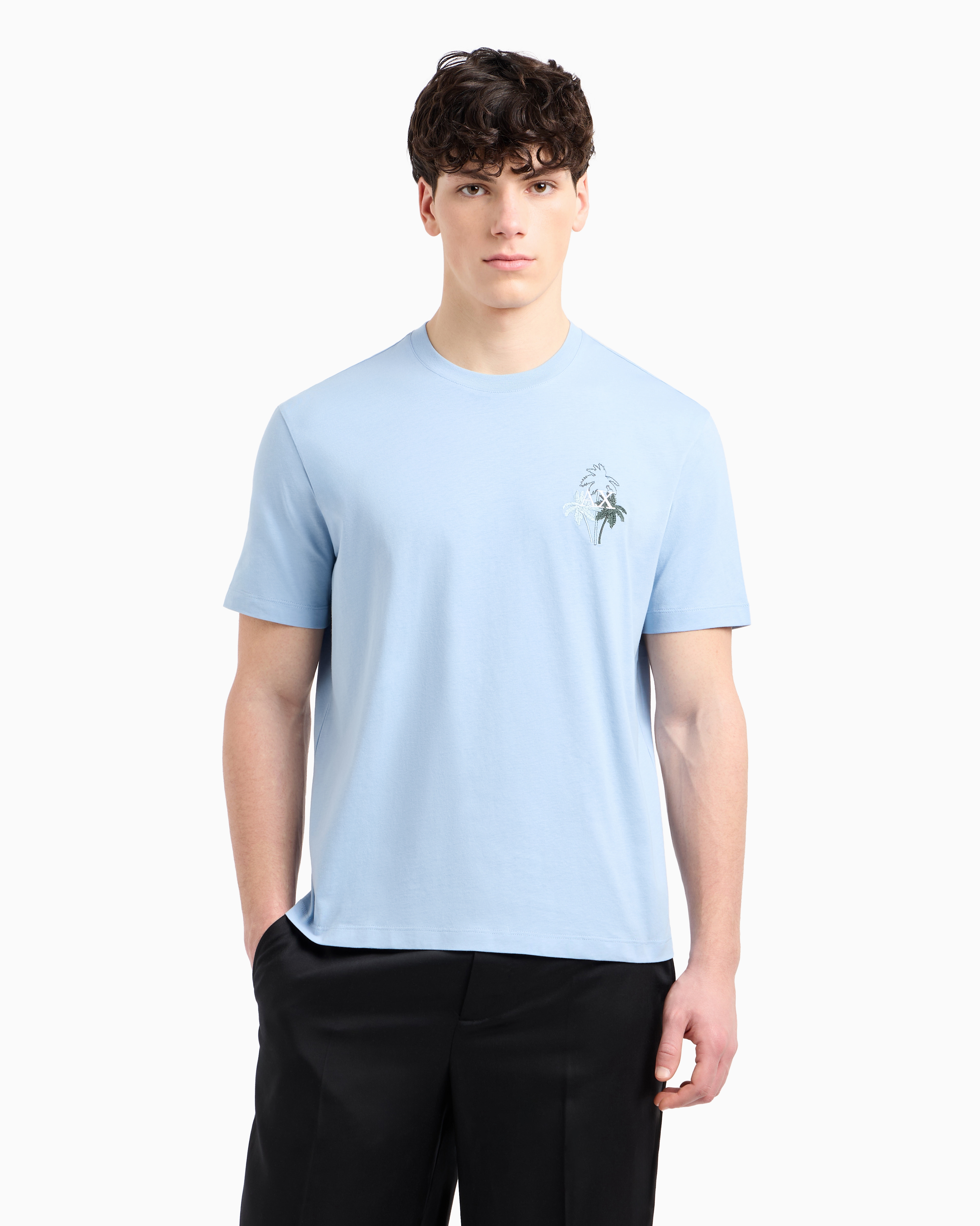 Armani Exchange - Regular fit T-shirt with print on the chest, Man, Light Blue, Size: