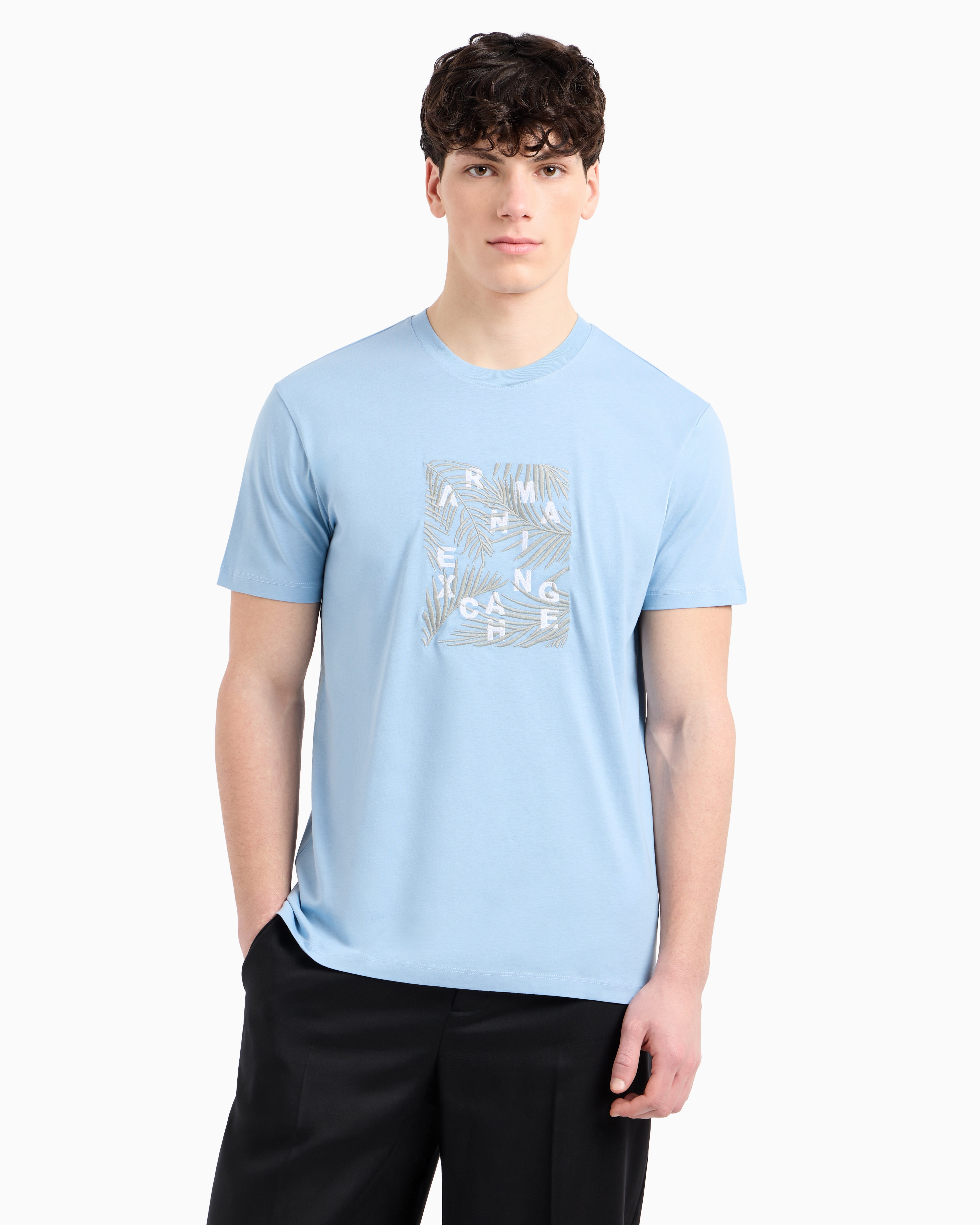 Armani Exchange - Regular fit ASV palm tree print t-shirt, Man, Light Blue, Size: