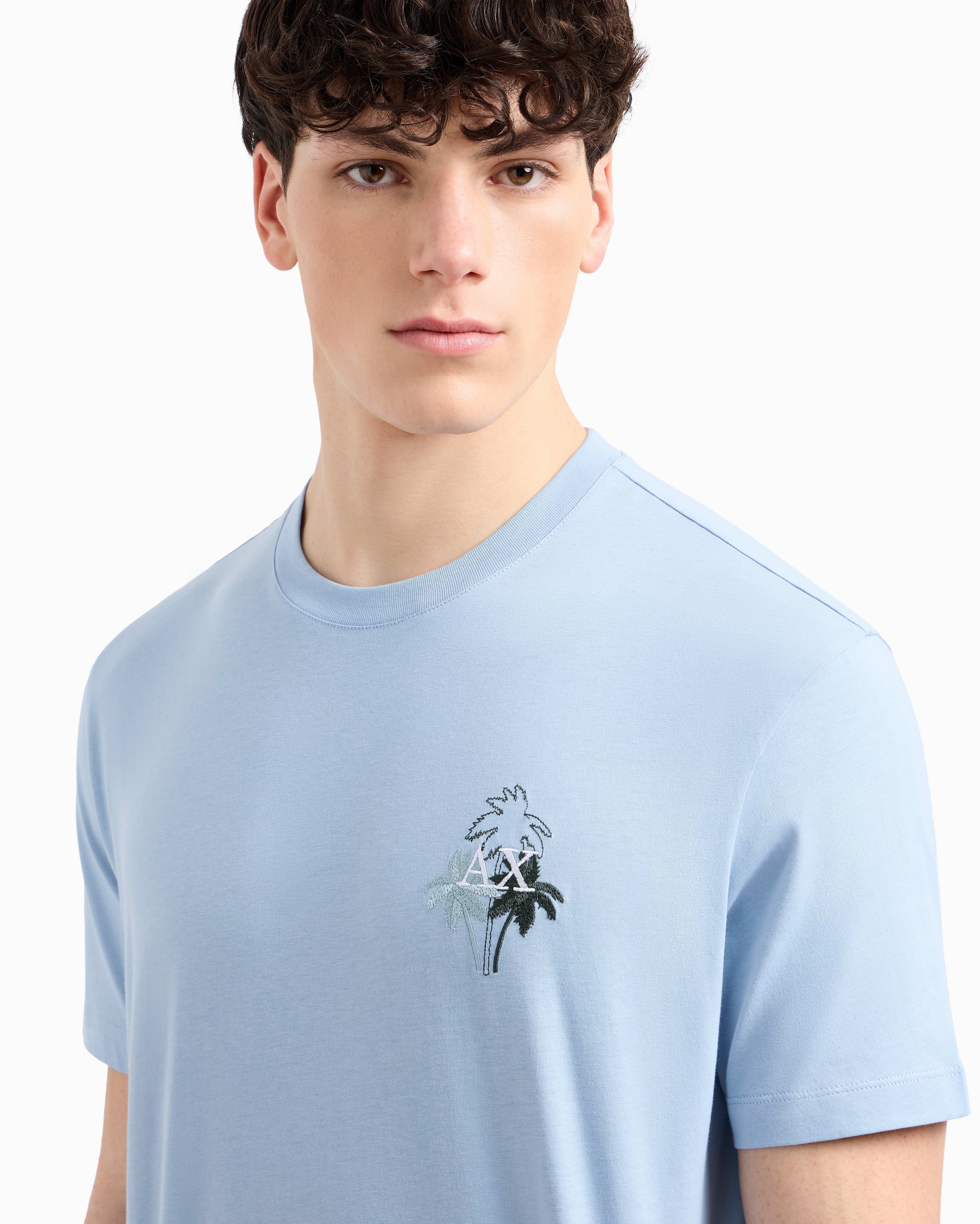 Armani Exchange - Regular fit T-shirt with print on the chest, Man, Light Blue, Size: