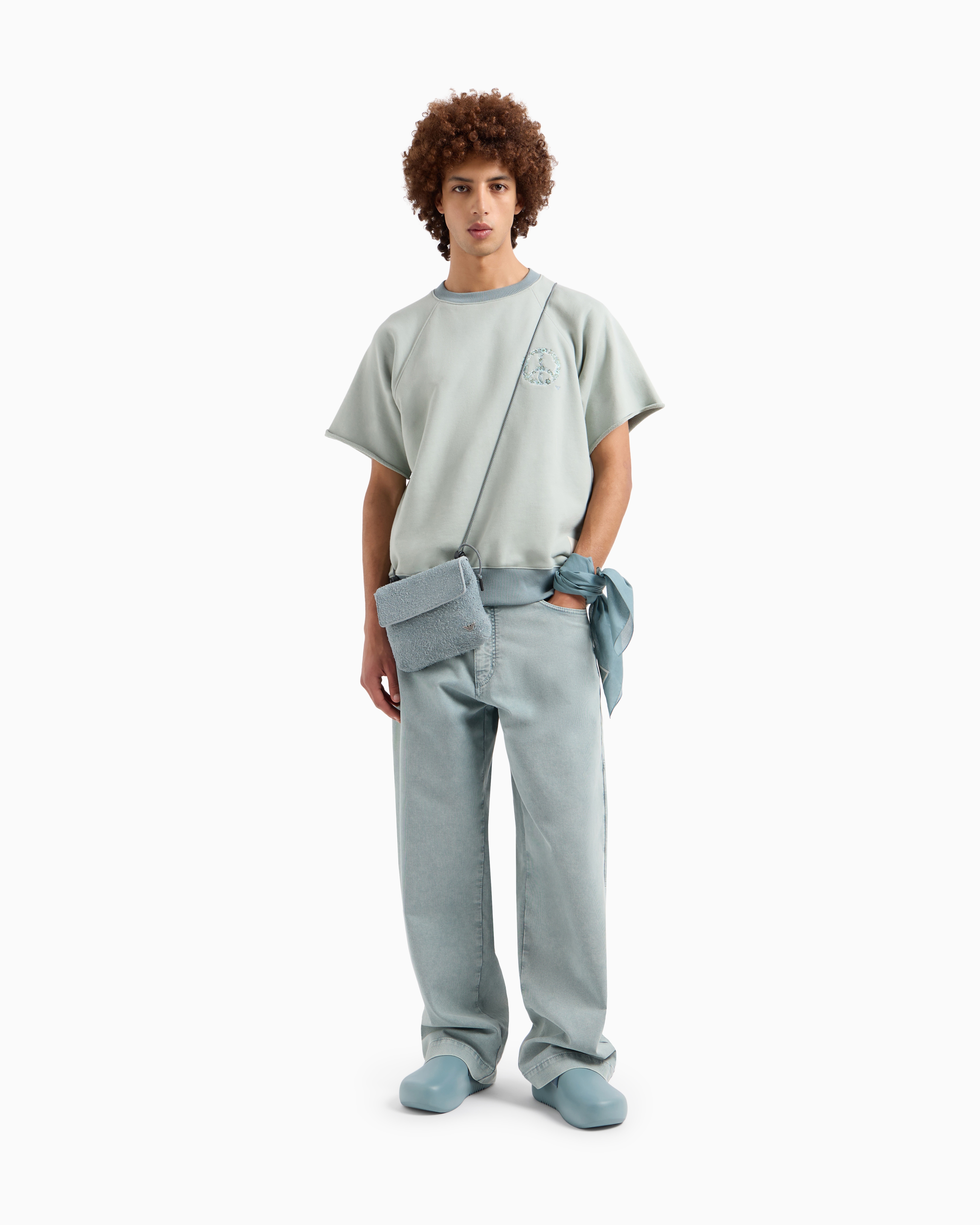 EMPORIO ARMANI▼ASV ピース コットン フード スウェットシャツ ASV Peaceカプセルコレクション 半袖スウェットシャツ