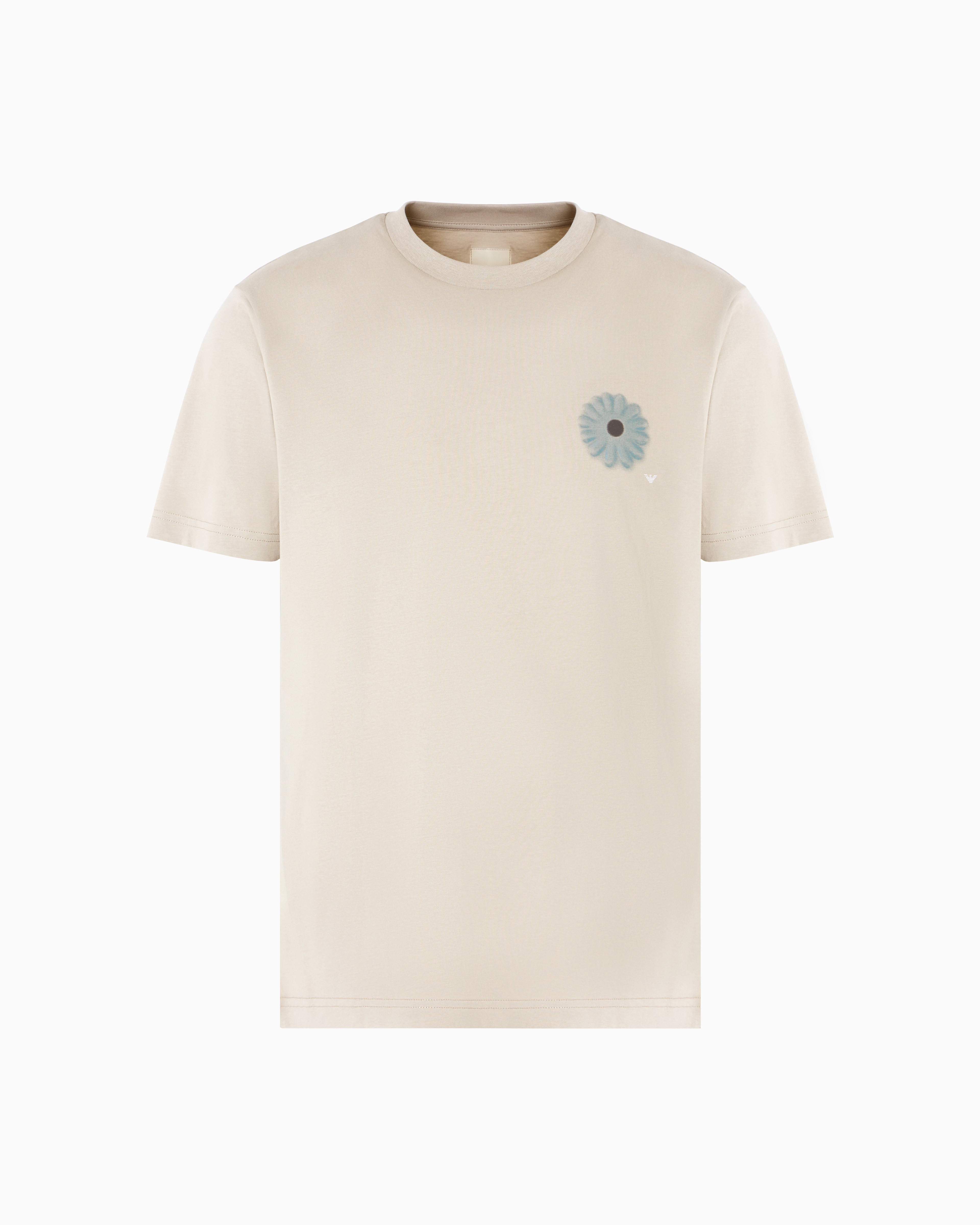 Emporio Armani - ASV jersey T-shirt with oversized print from the Peace capsule collection, Man, Grey, Size: