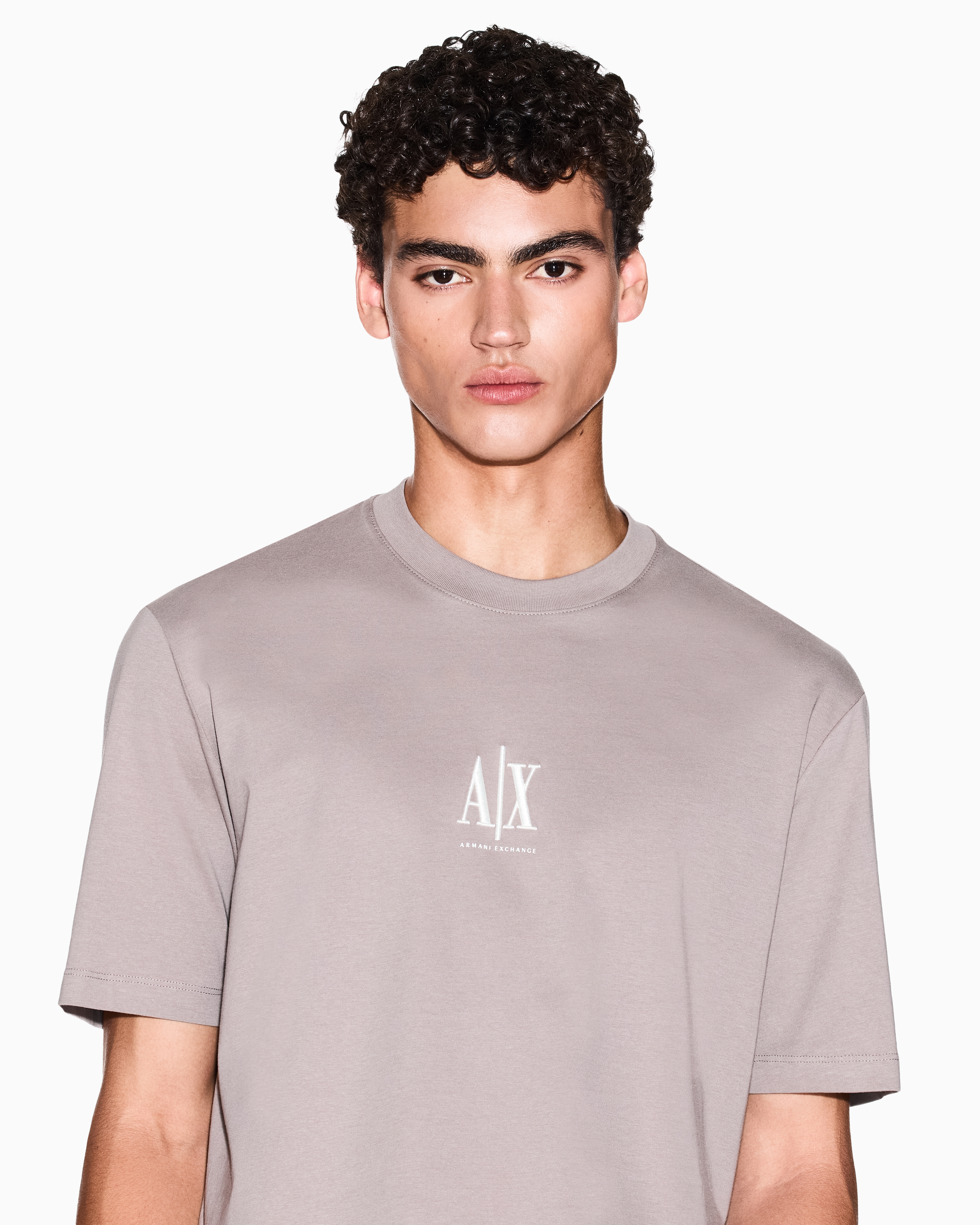 ARMANI EXCHANGE Tシャツ　ロゴプラント　フェード　グレー ARMANI EXCHANGE アルマーニ エクスチェンジ スウェットシャツ A