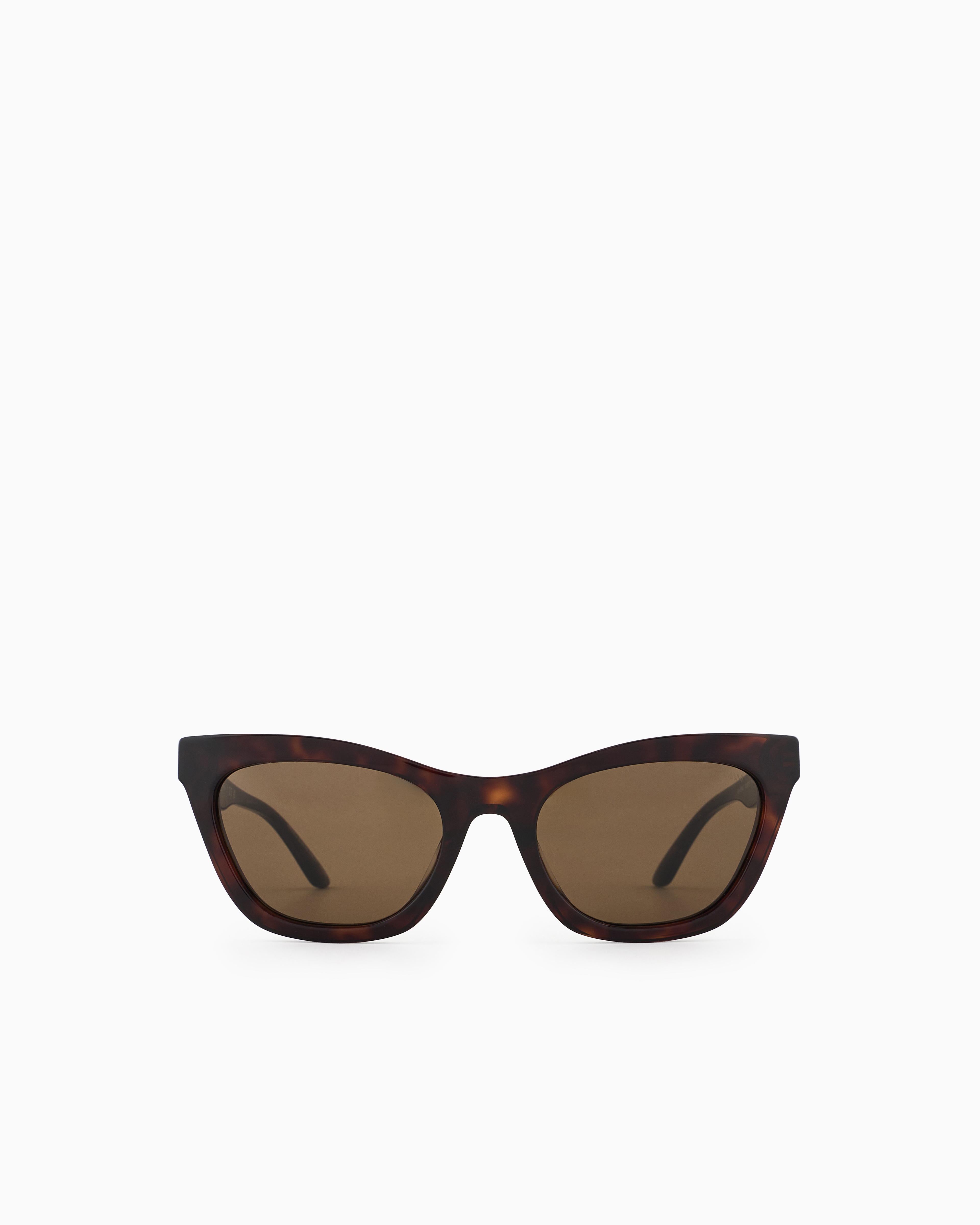 Emporio Armani Women's Cat-eye Sunglasses In Brown