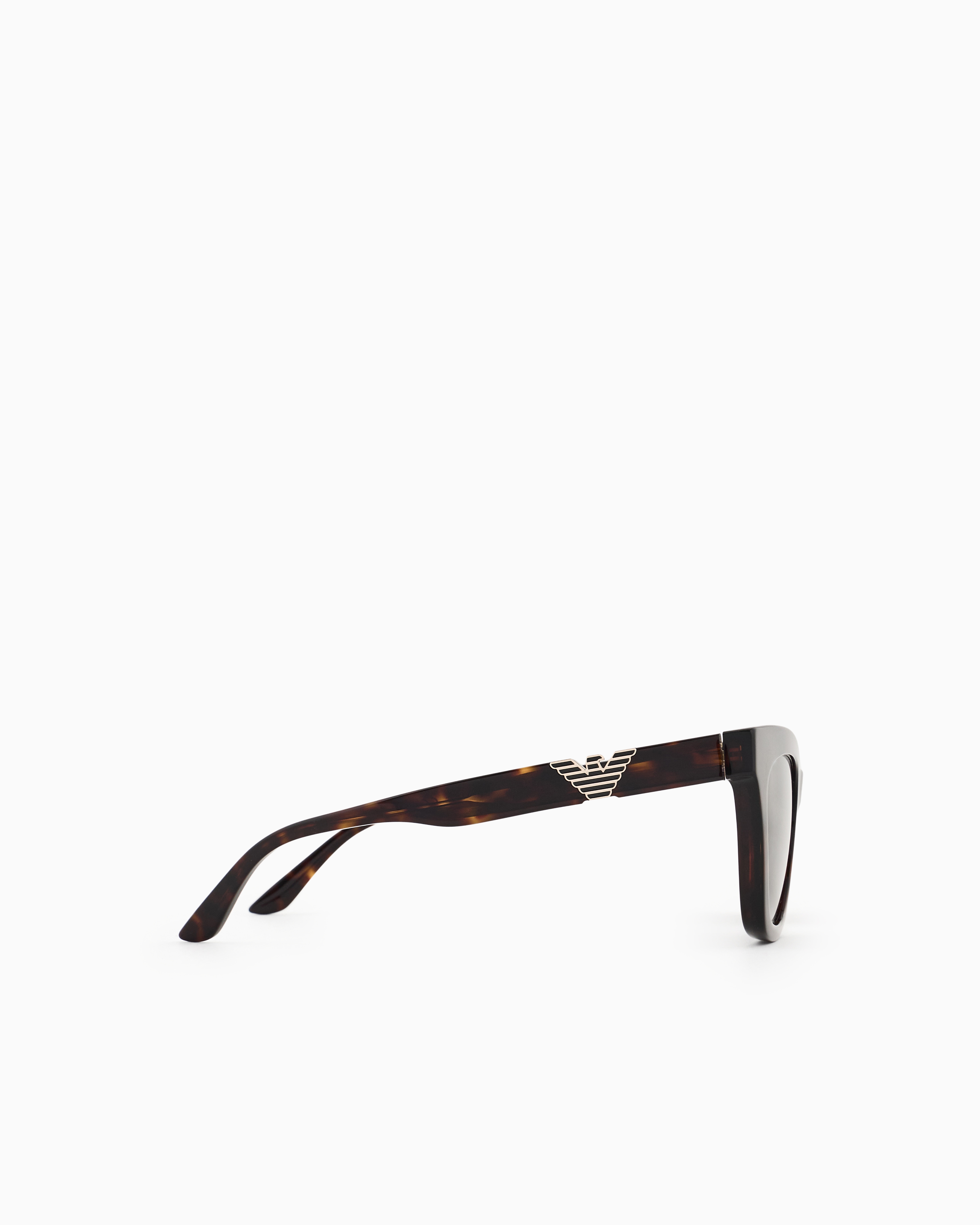 Emporio Armani Women's Cat-eye Sunglasses In Brown